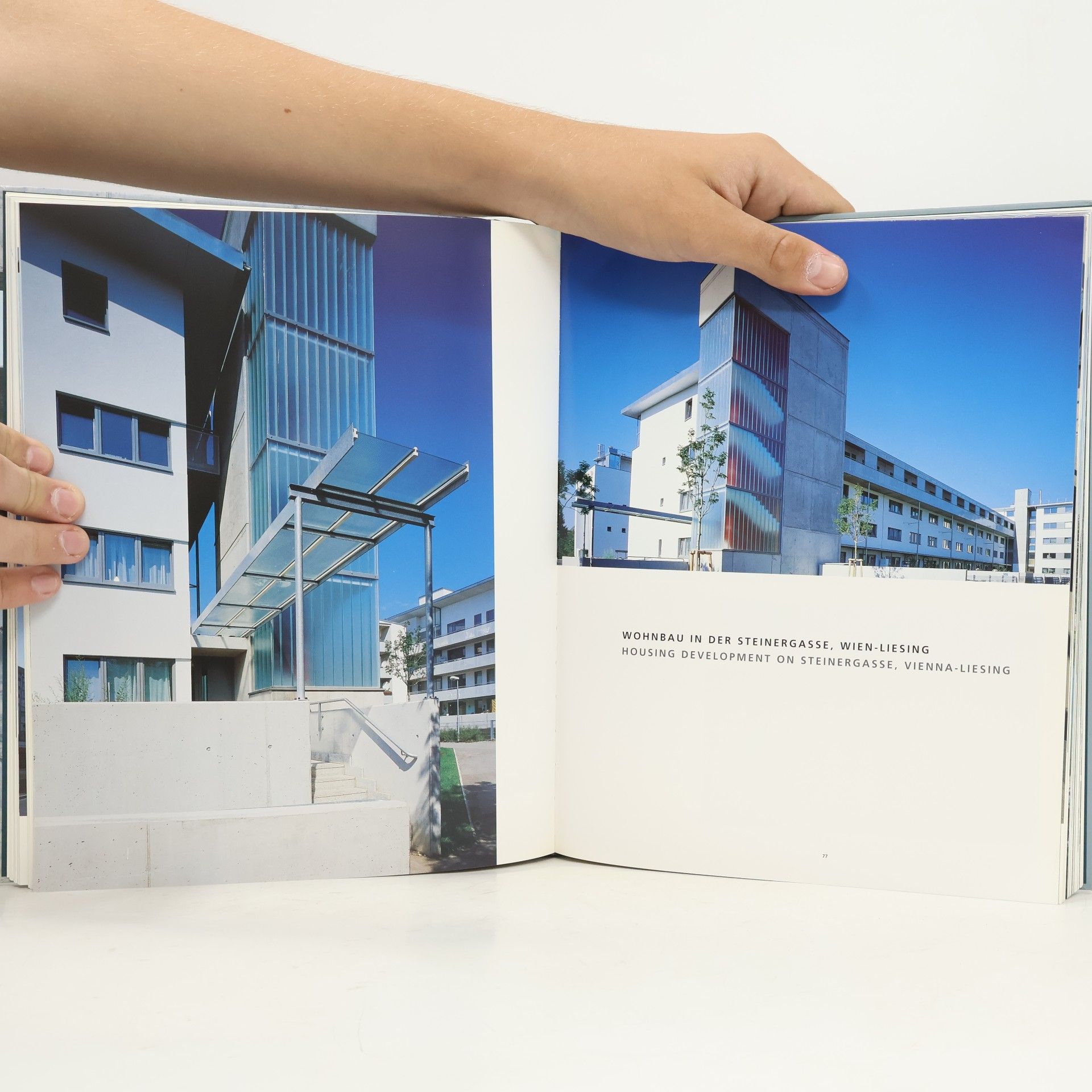 Liesbeth Waechter-Böhm Hermann & Valentiny and Partners