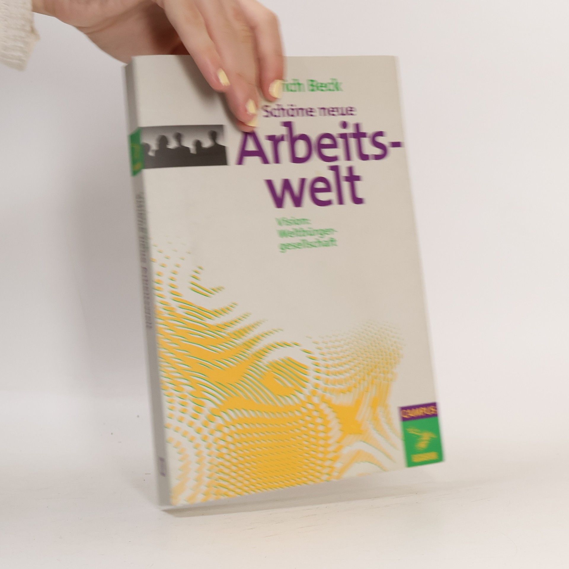Ulrich Beck Schöne neue Arbeitswelt