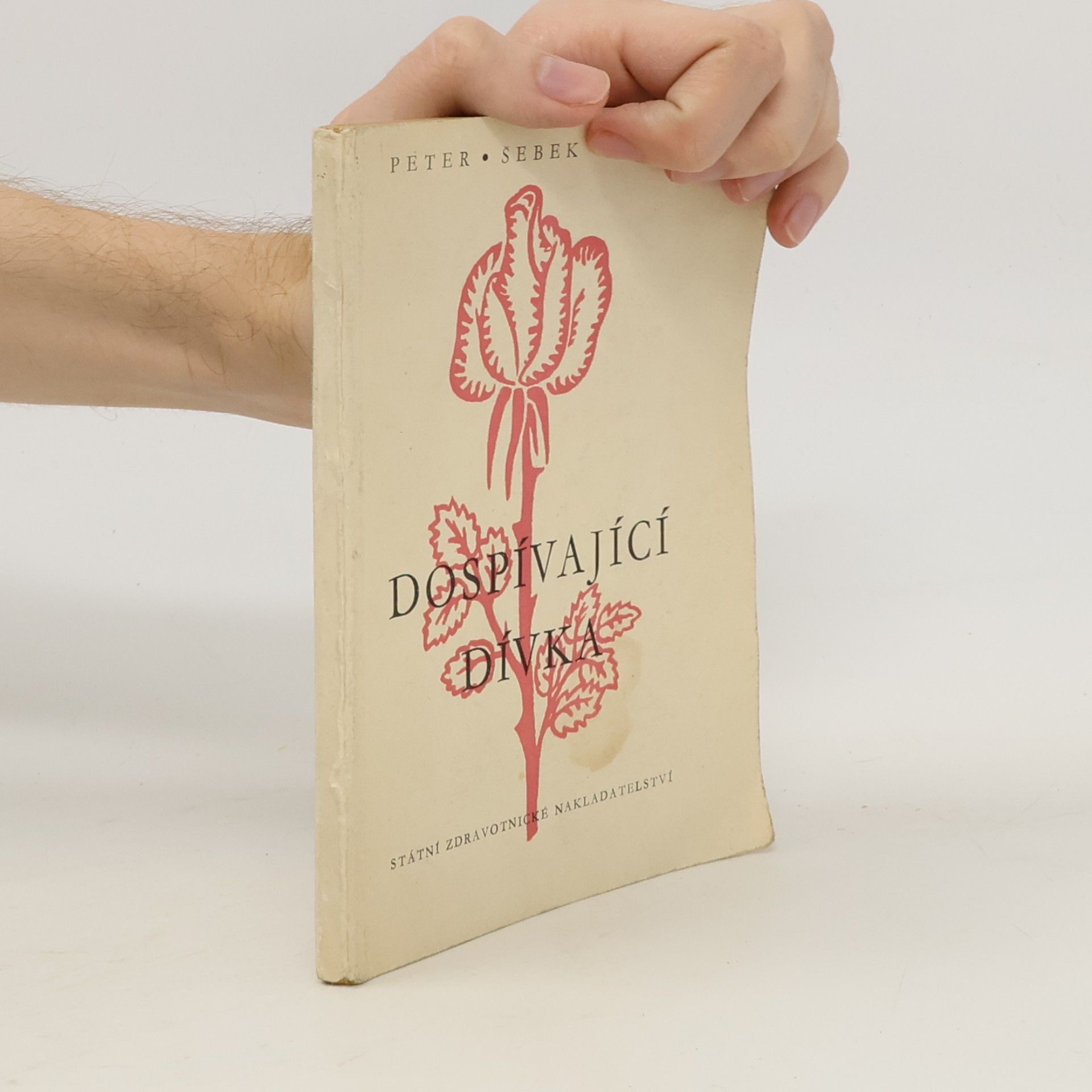 Josef Hynie Dospívající dívka