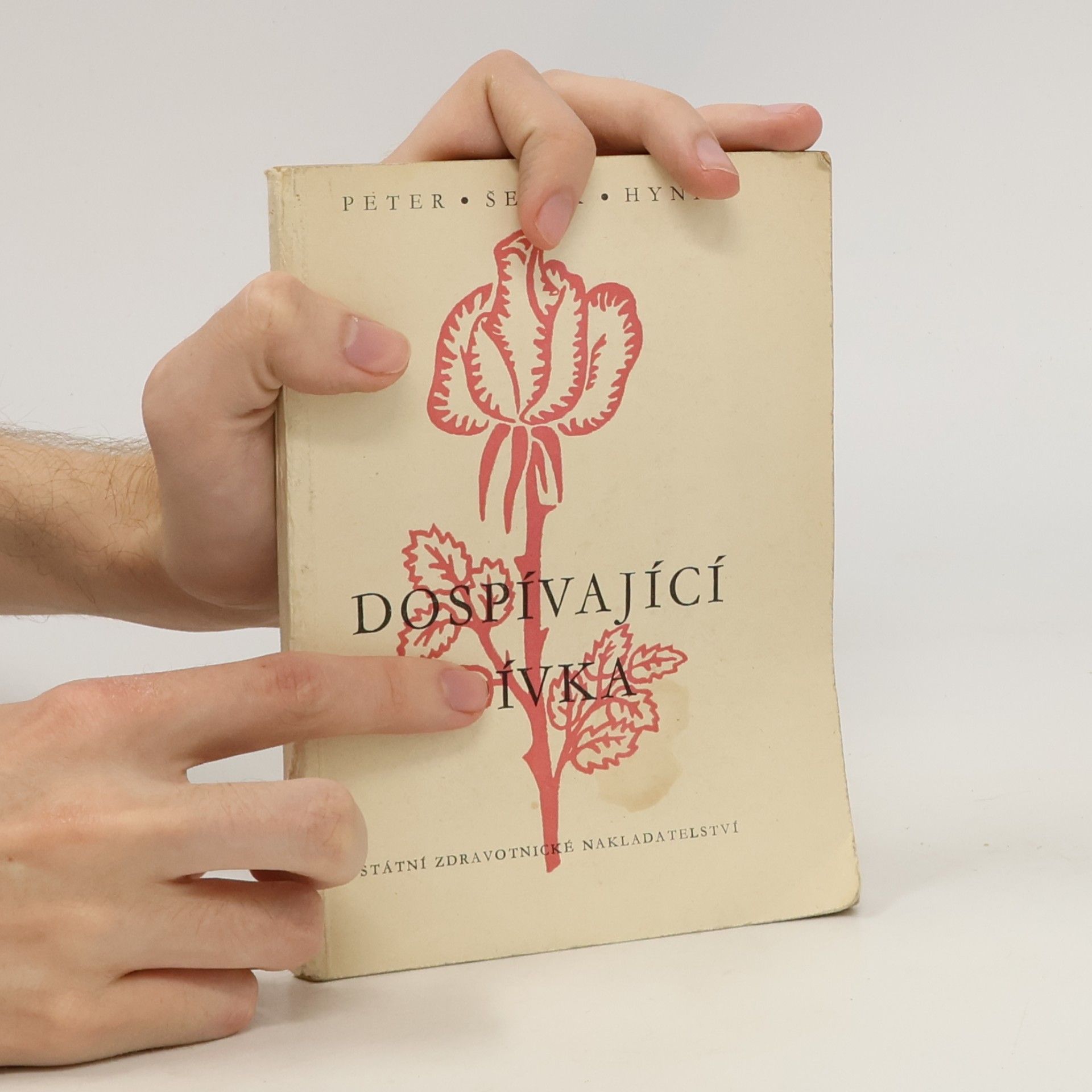 Josef Hynie Dospívající dívka