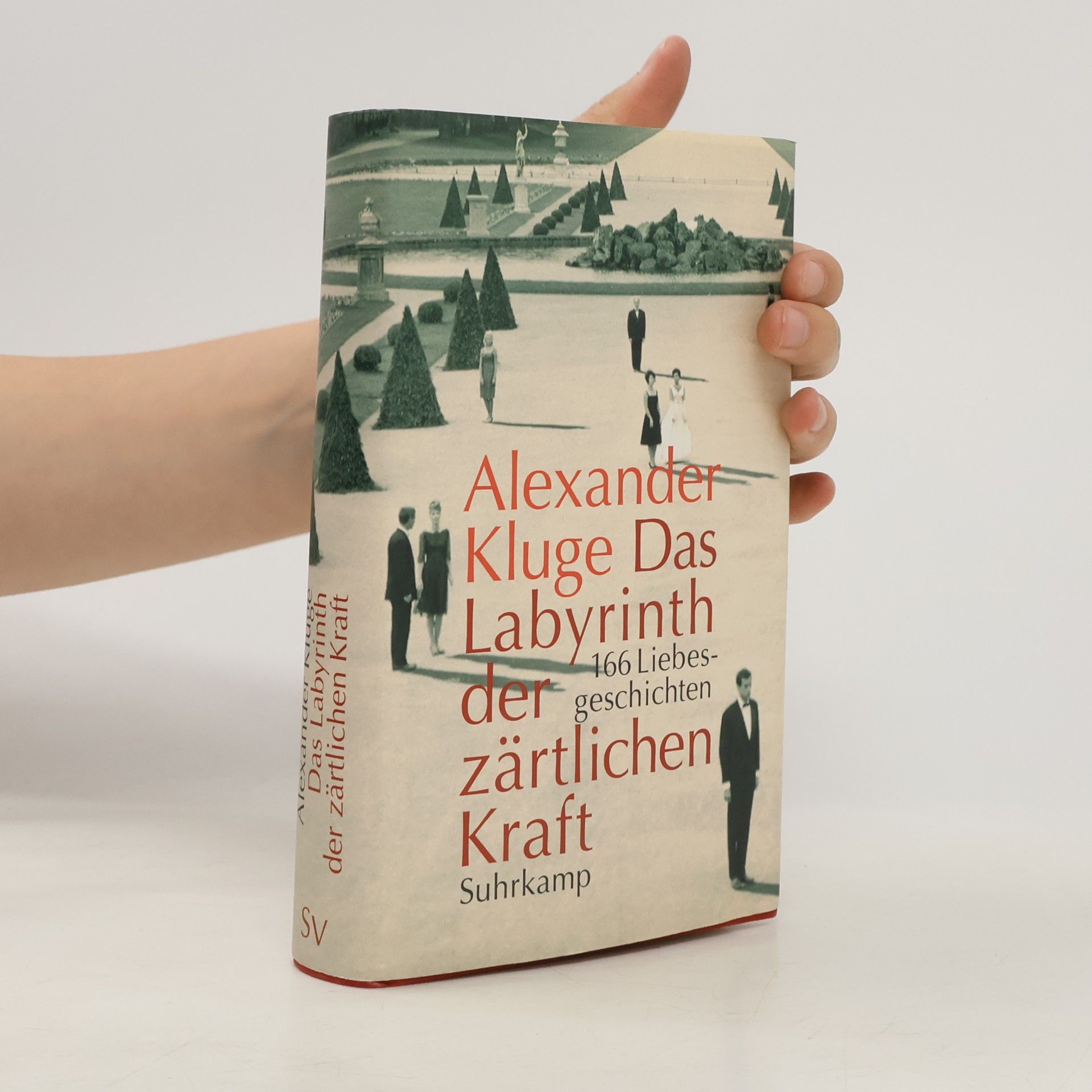 Alexander Kluge Das Labyrinth der zärtlichen Kraft, m. DVD