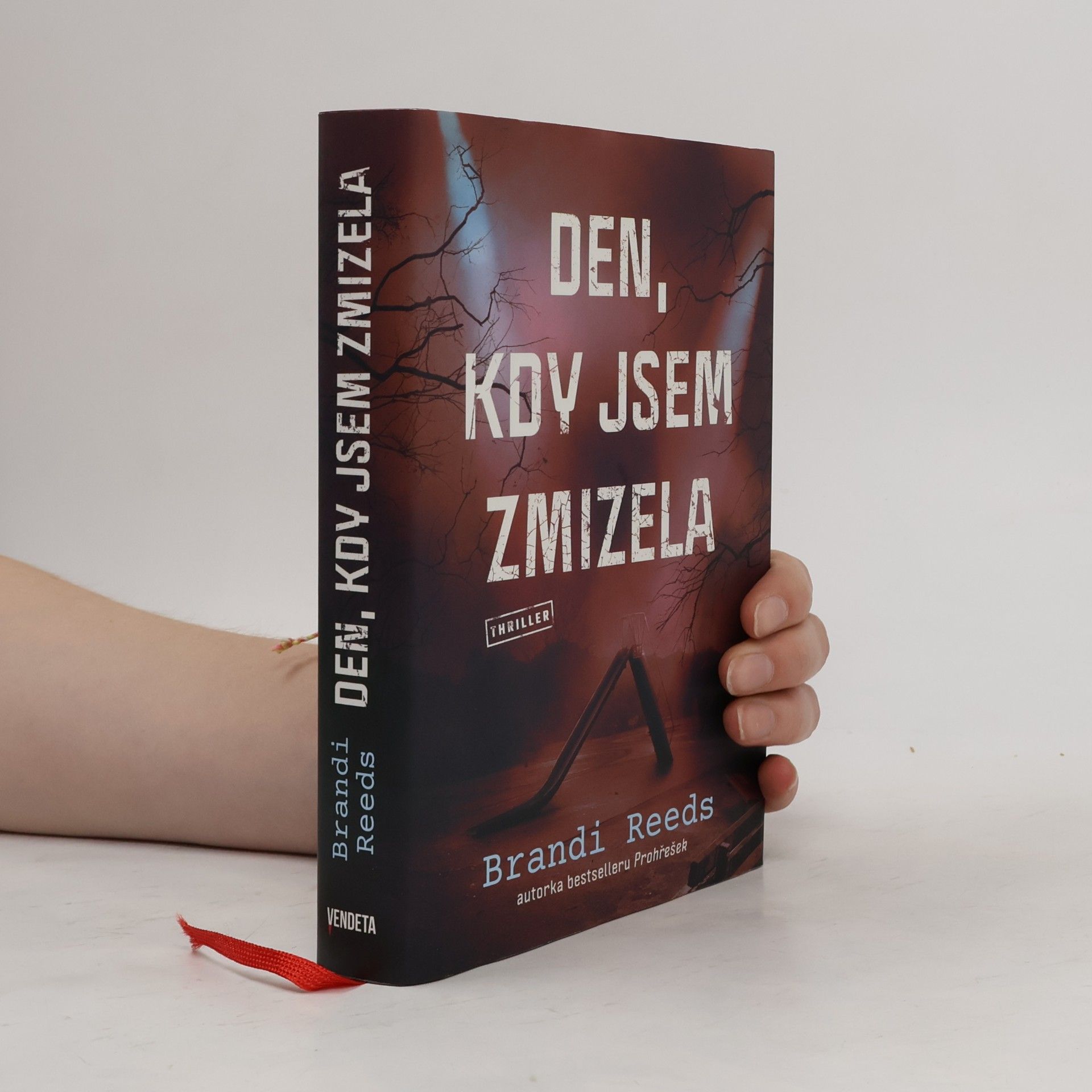 Brandi Reeds Den, kdy jsem zmizela