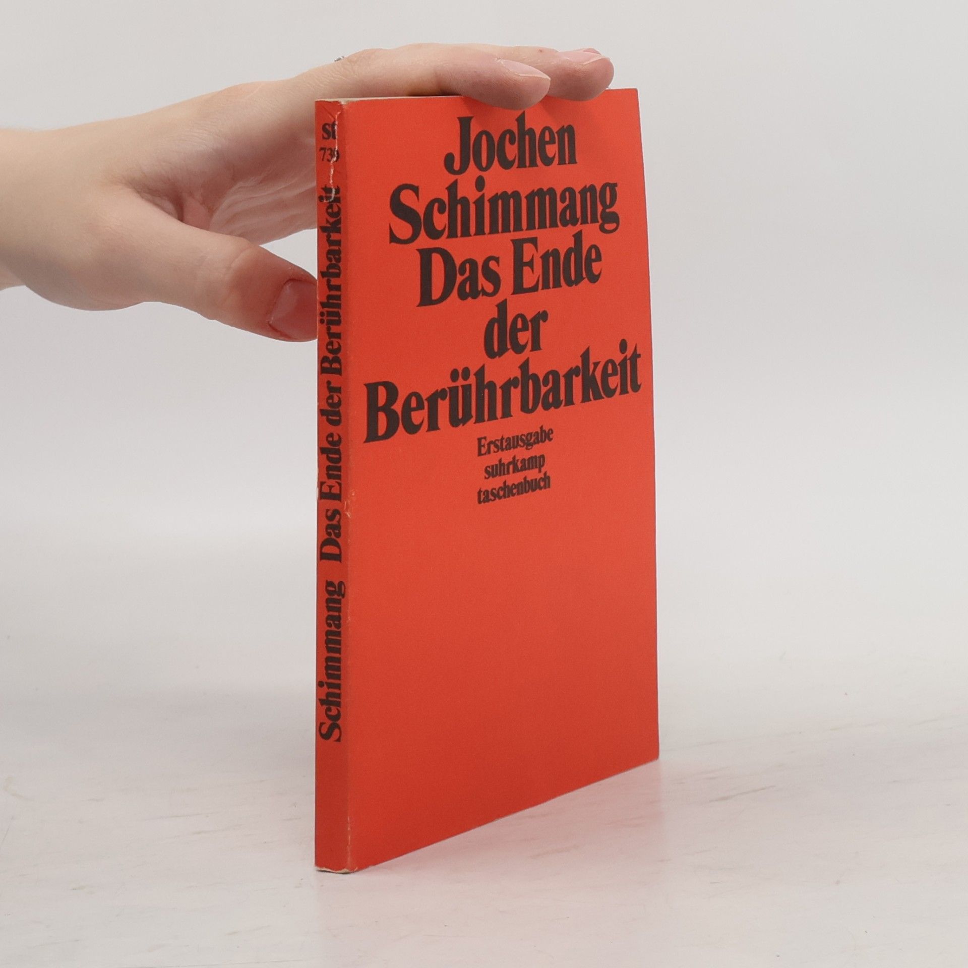 Jochen Schimmang Das Ende der Berührbarkeit