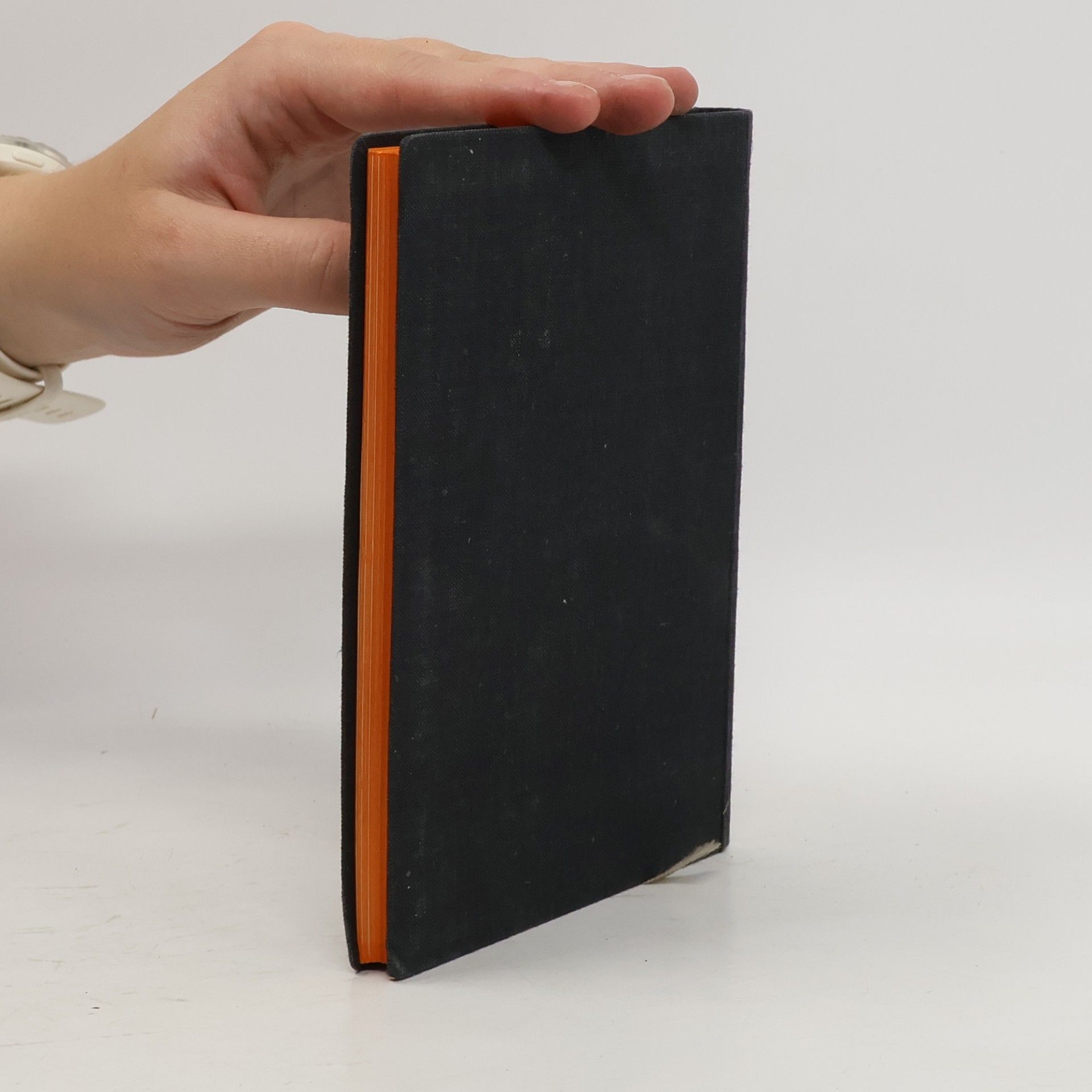 Kolektív autorov Manuale Rituum
