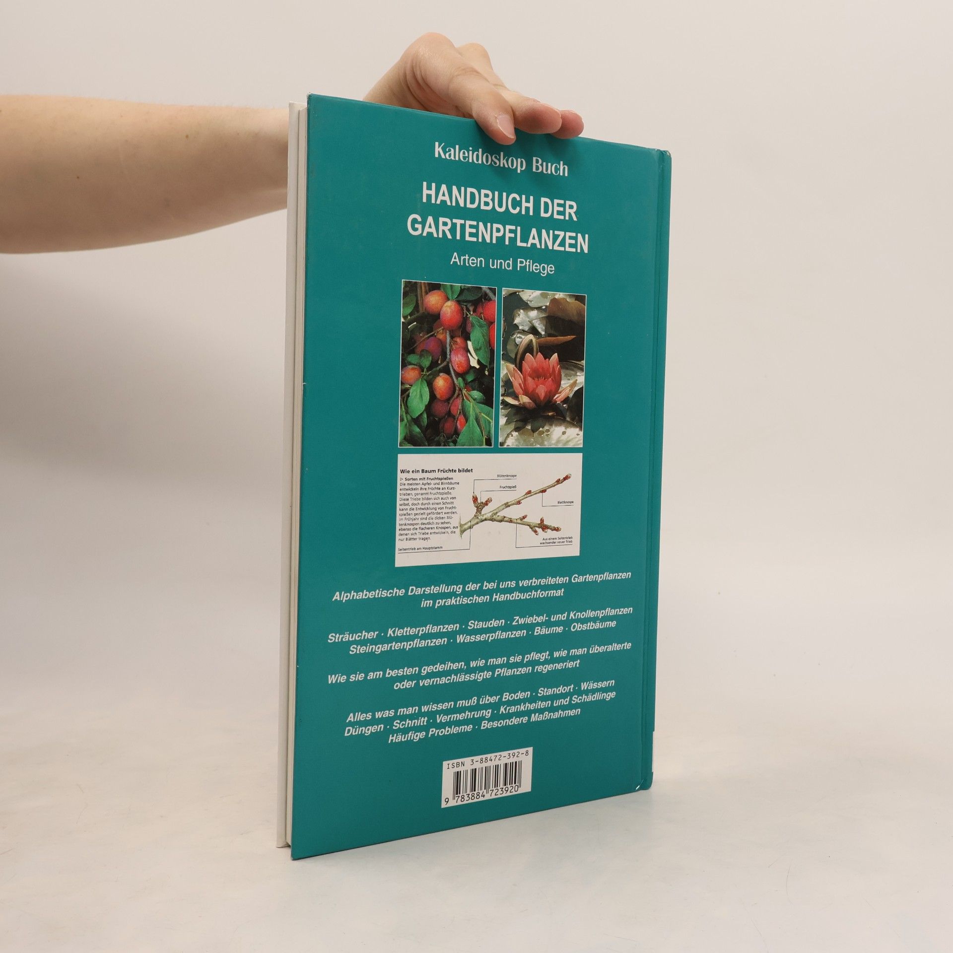 Stefan Buczacki Handbuch der Gartenpflanzen