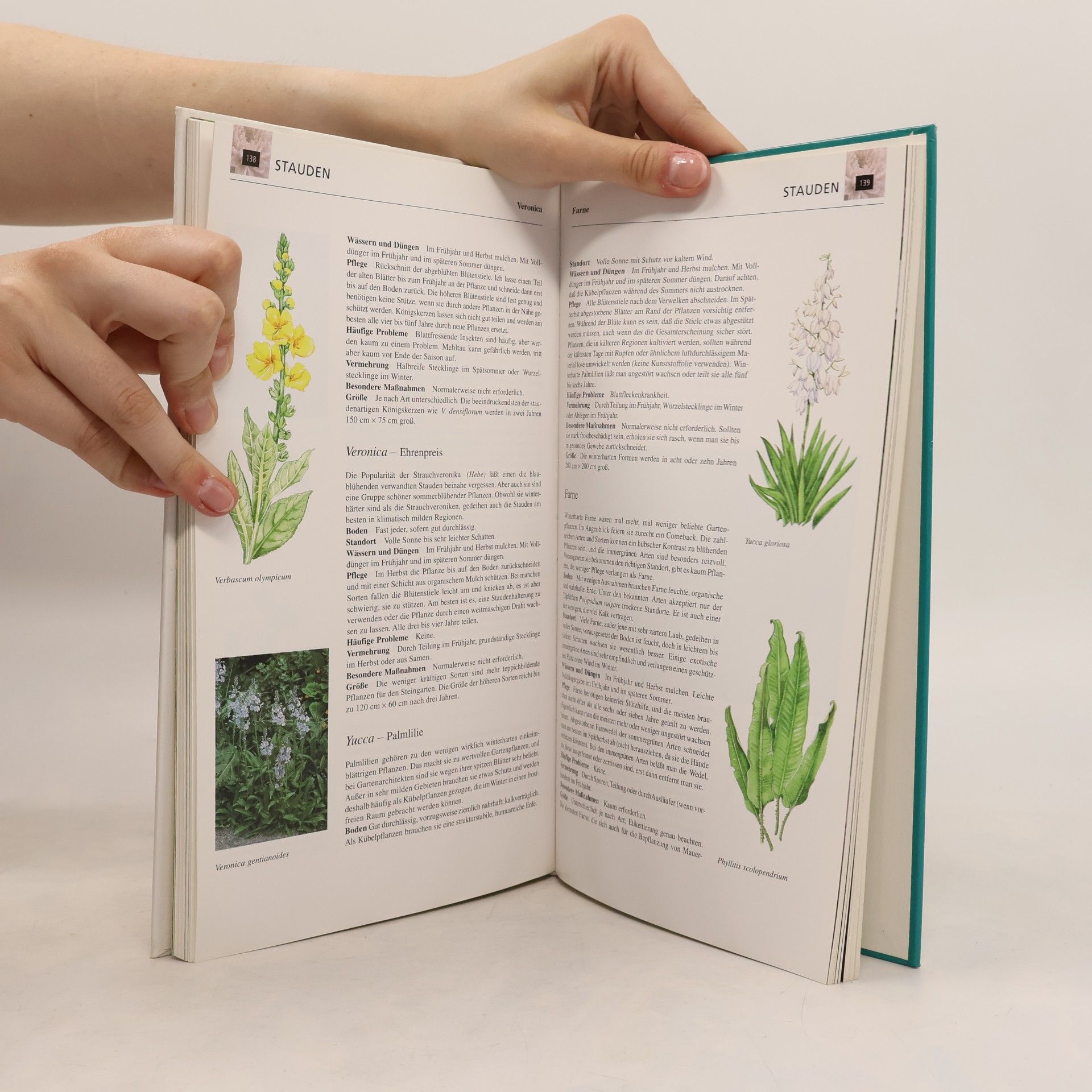 Stefan Buczacki Handbuch der Gartenpflanzen