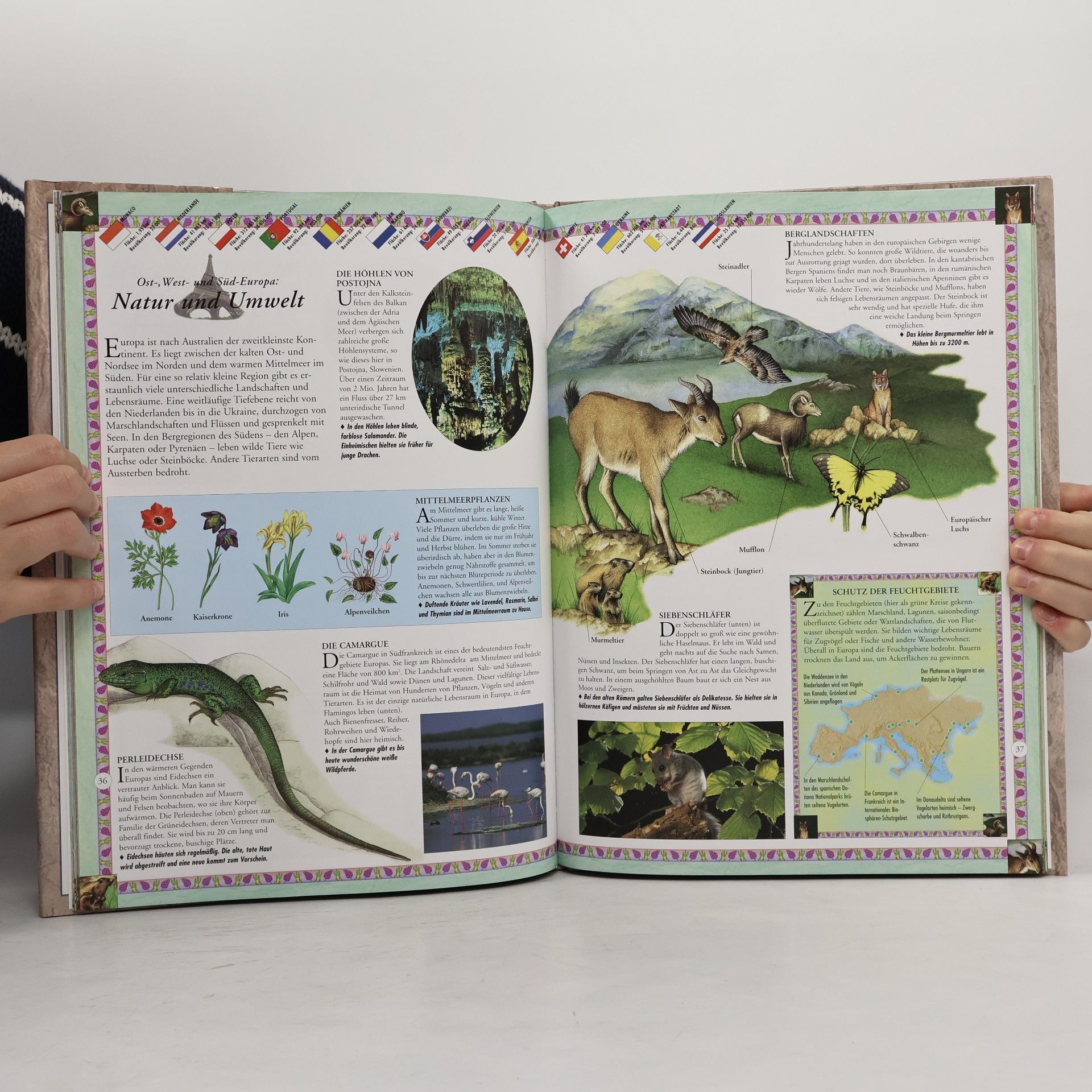 Alisdair Rogers Der illustrierte Weltatlas