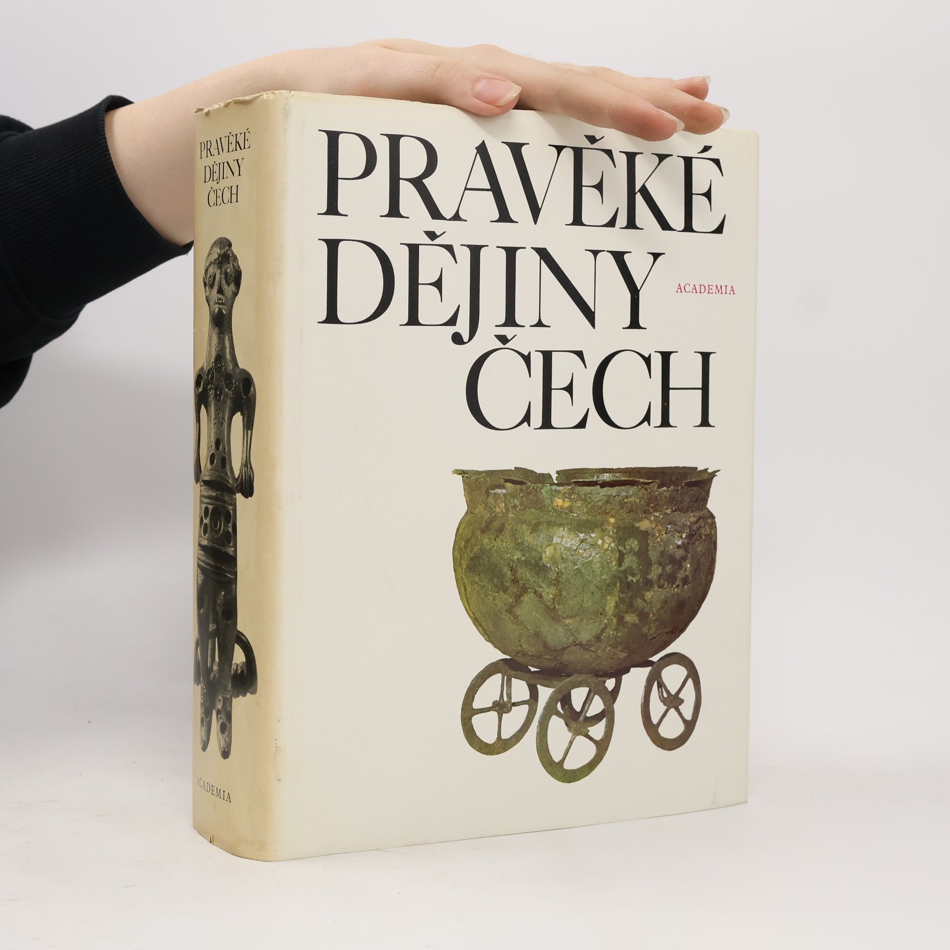 Alena Rybová Pravěké dějiny Čech