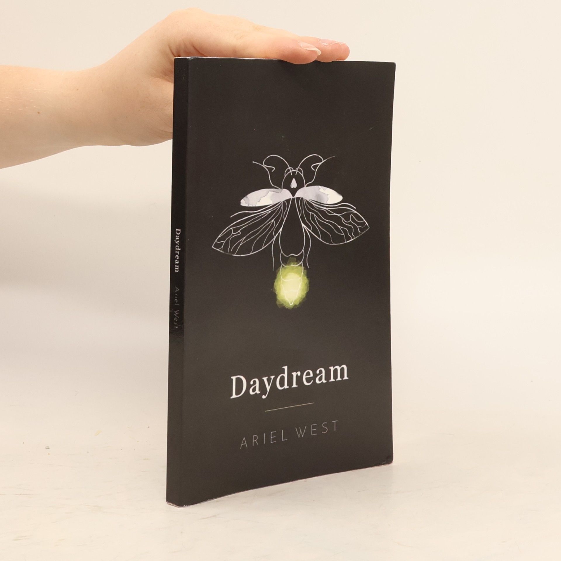 Kolektiv autorů Daydream: Poetry Book