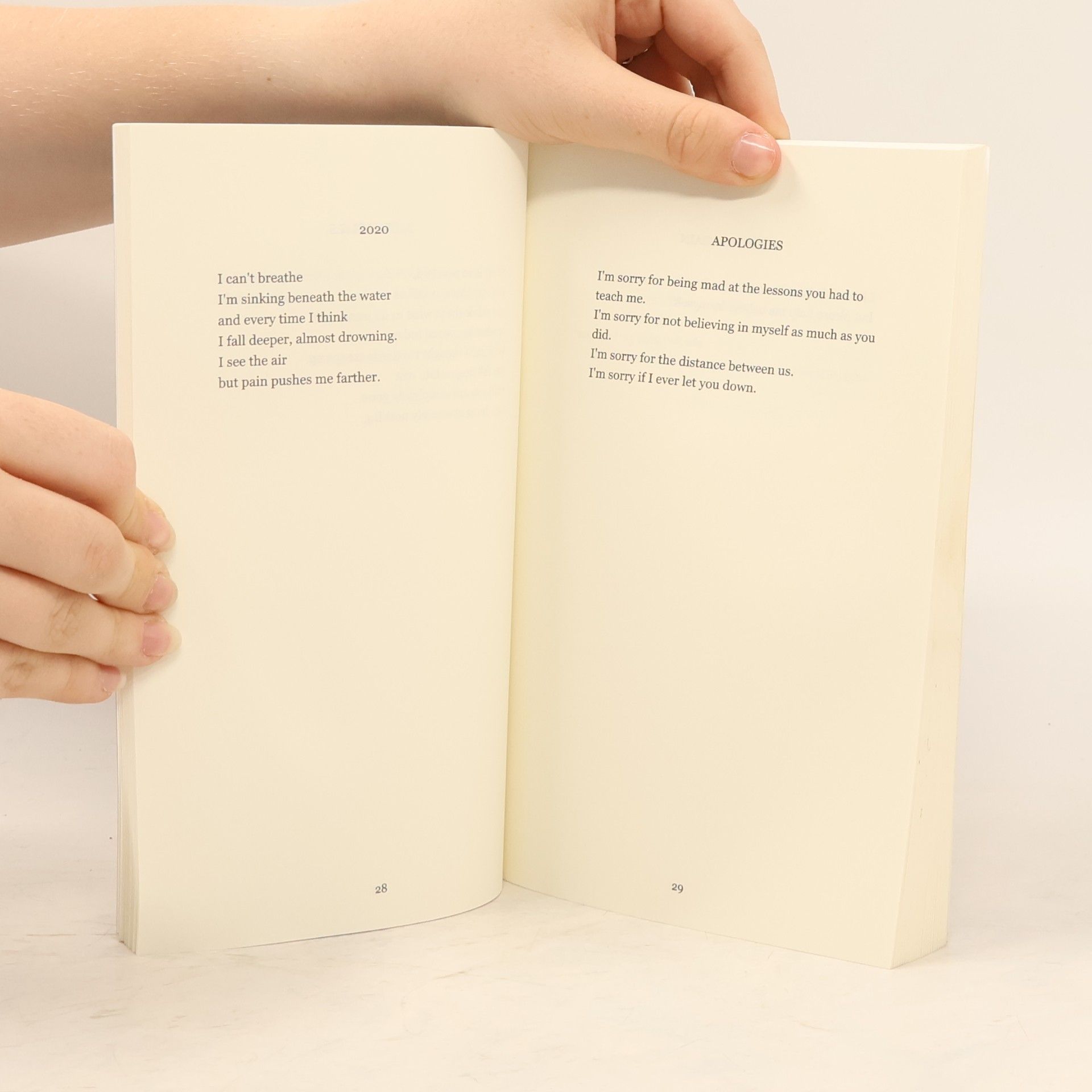 Autorenkollektiv Daydream: Poetry Book