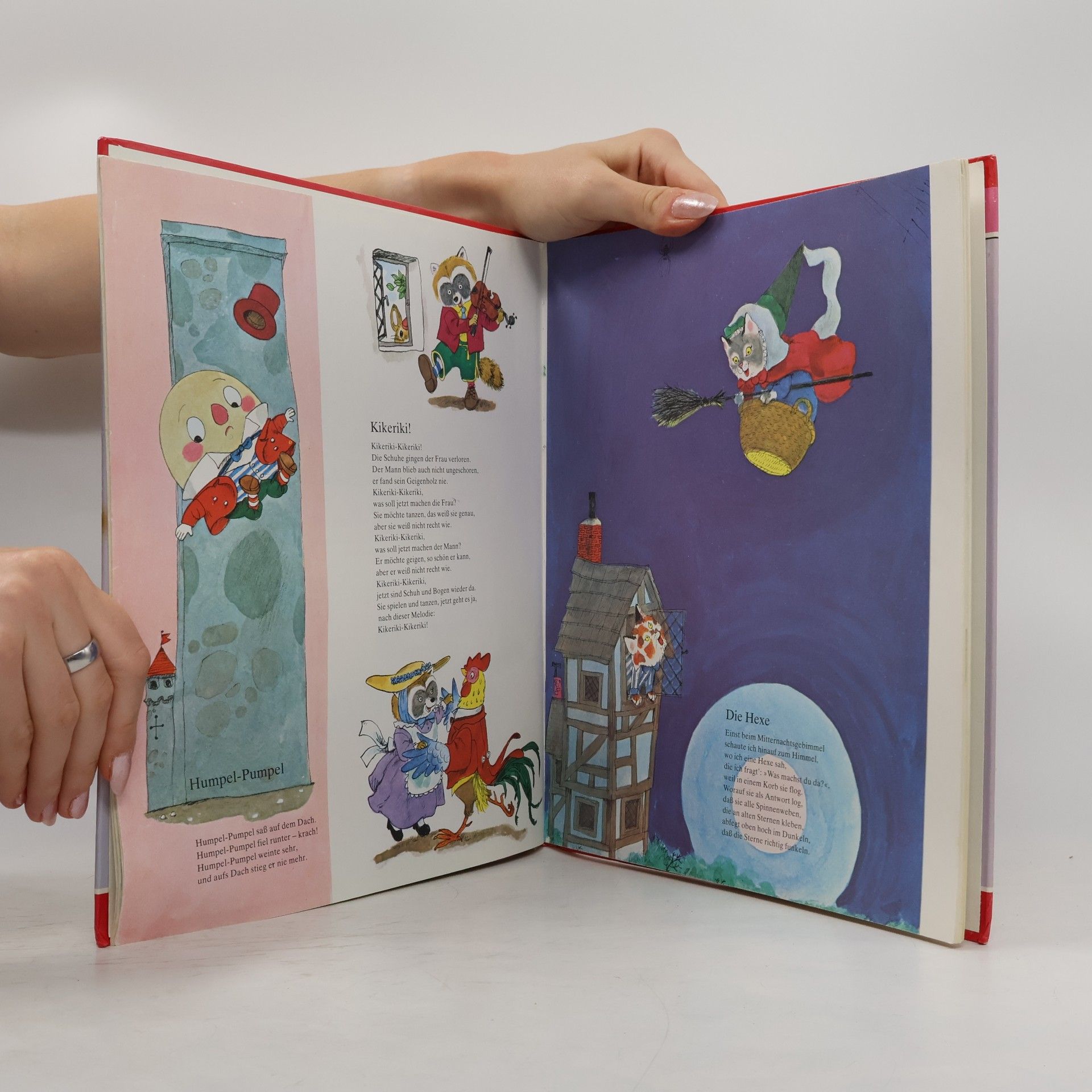 Richard Scarry Mein allerschönstes Geschichten buch