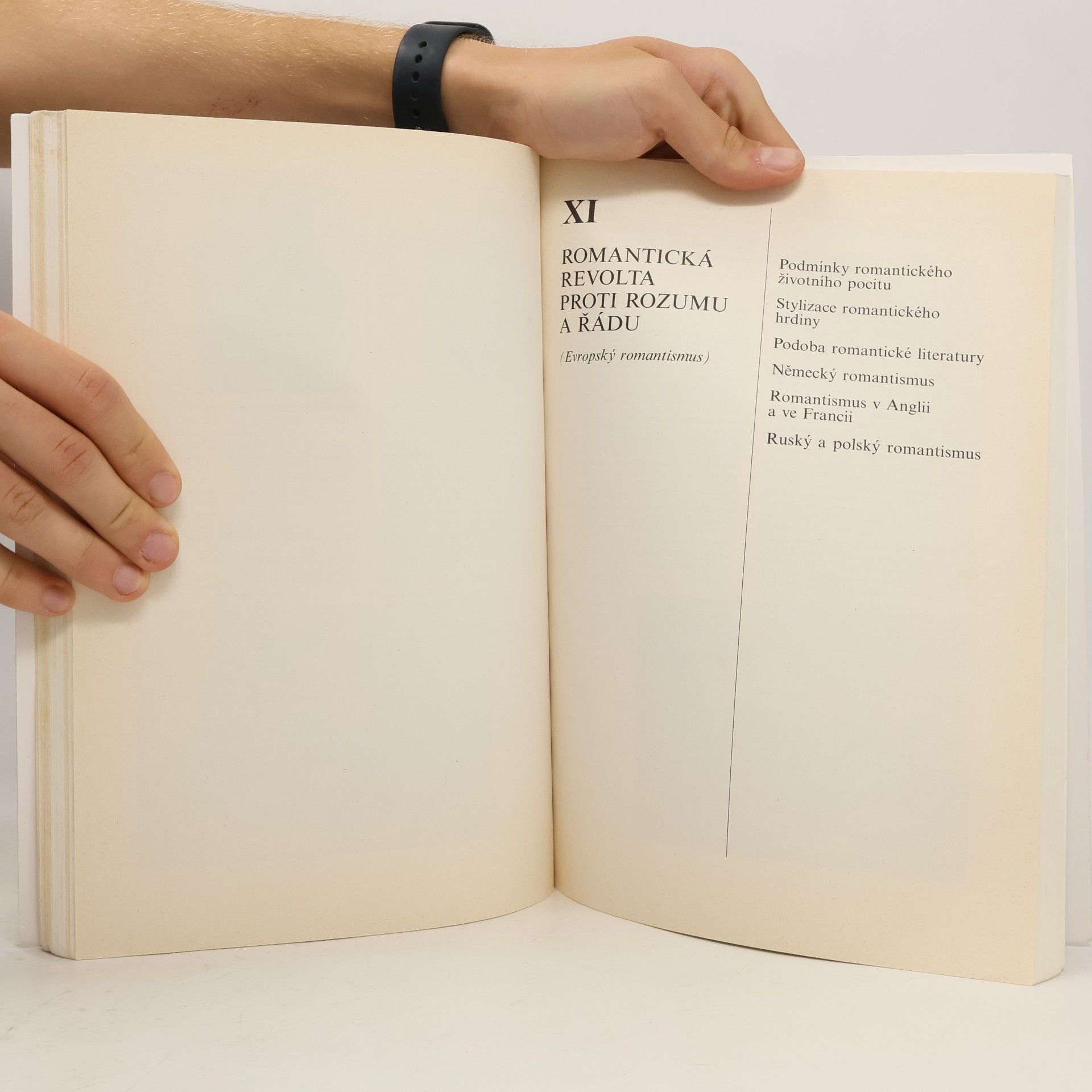 Bohuš Balajka Přehledné dějiny literatury I.