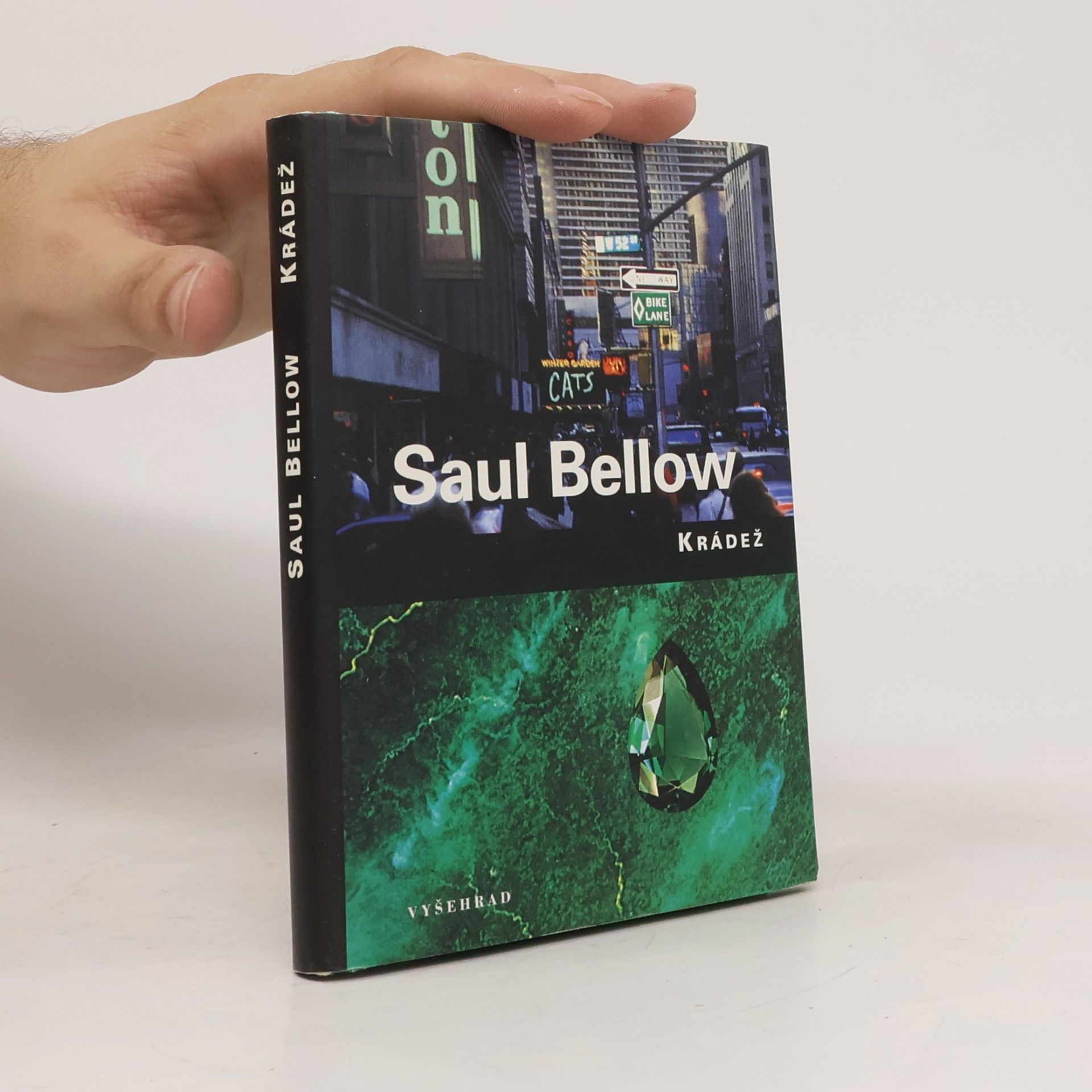 Saul Bellow Krádež