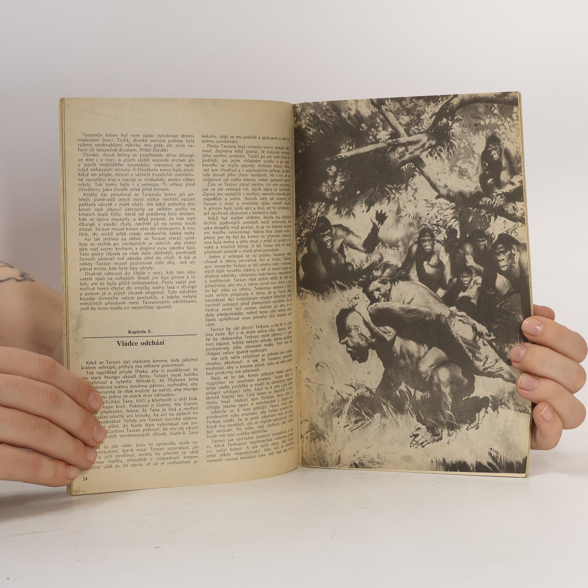 Edgar Rice Burroughs Tarzan syn divočiny