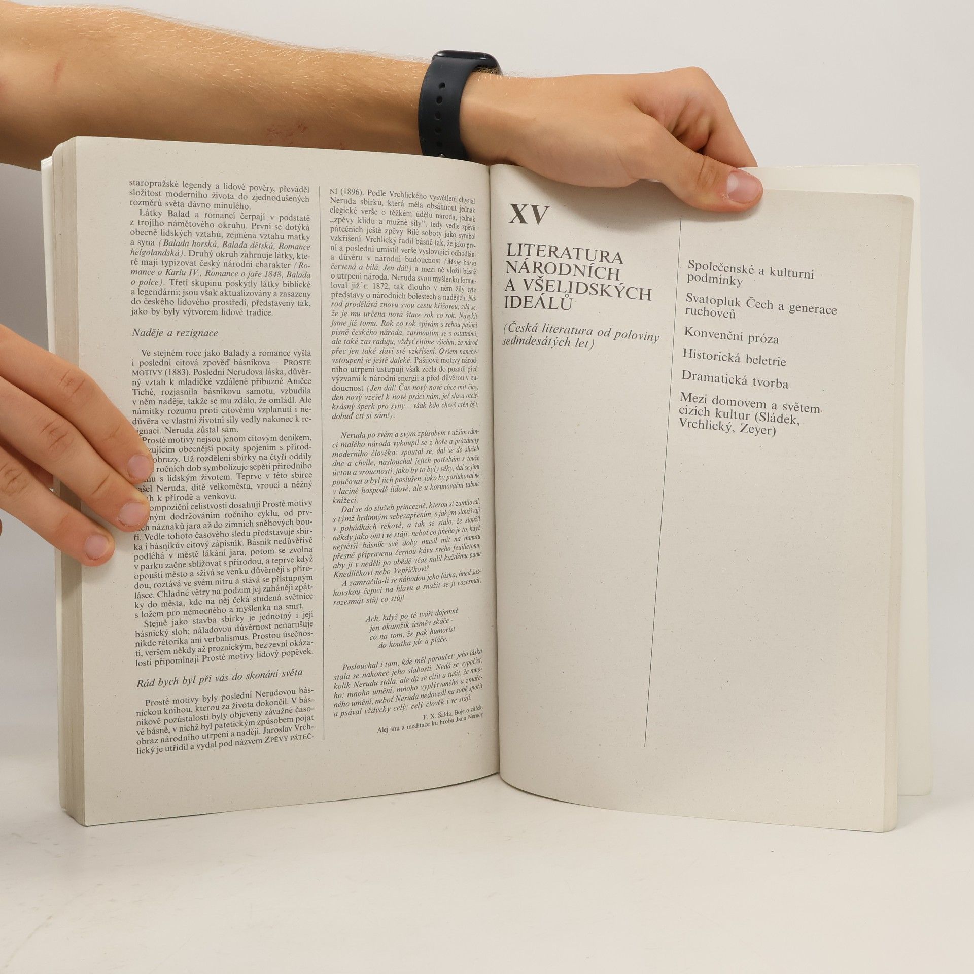 Bohuš Balajka Přehledné dějiny literatury I.