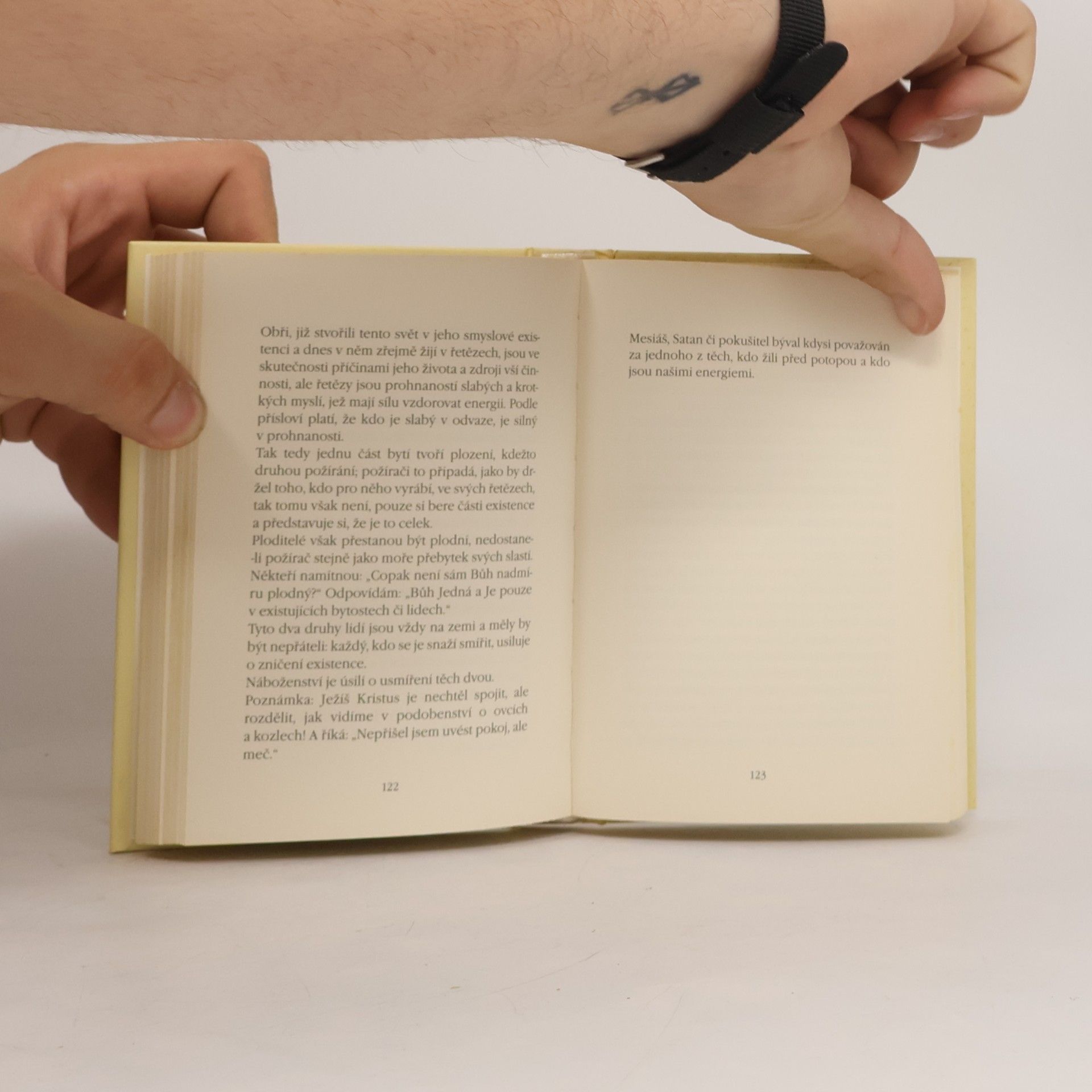 William Blake Napíšu verše kytkám na listy