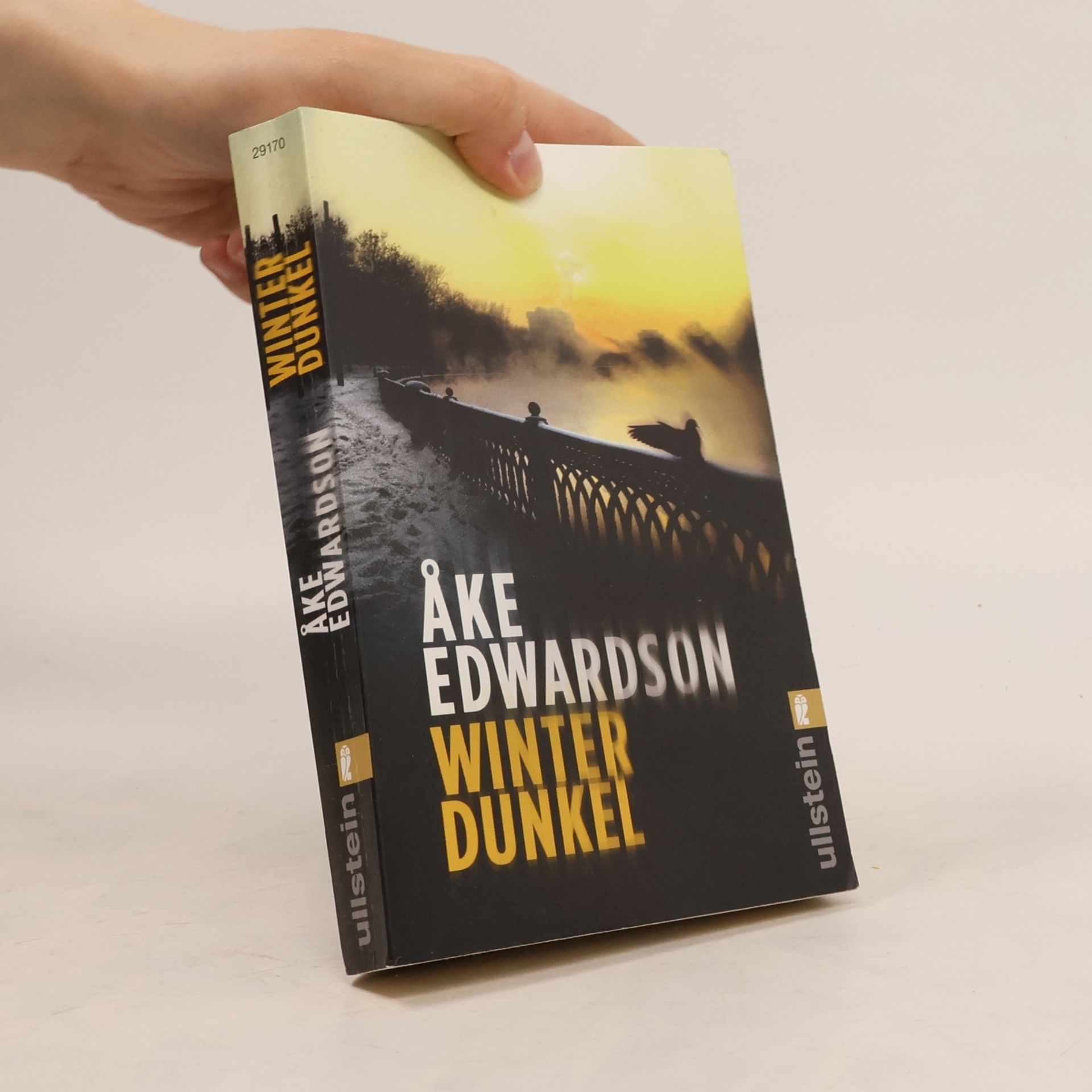Åke Edwardson Winterdunkel