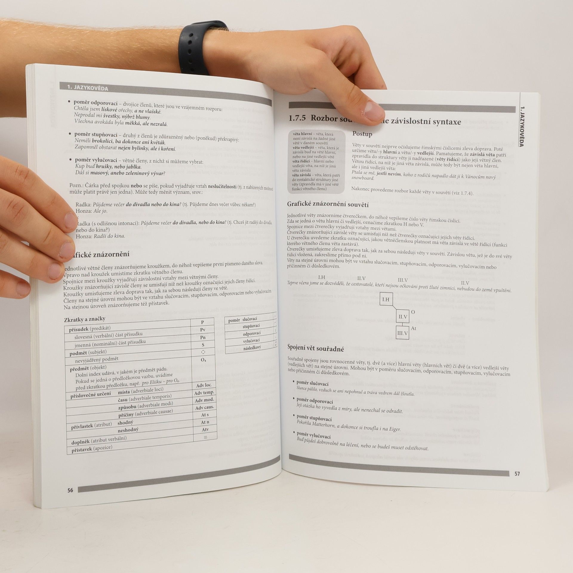 Karina Matějů Maturitní otázky – Český jazyk