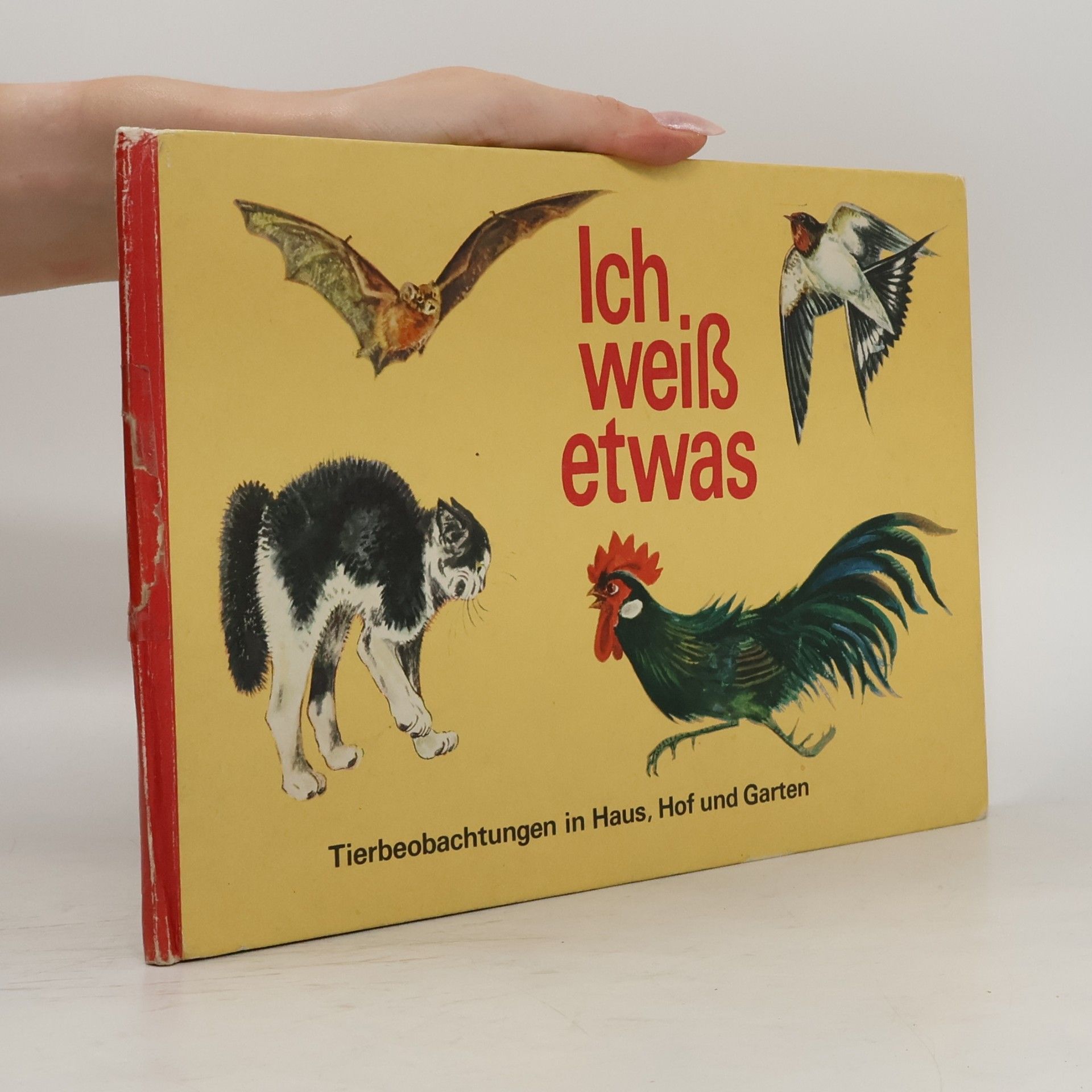 Autorenkollektiv Ich weiß etwas