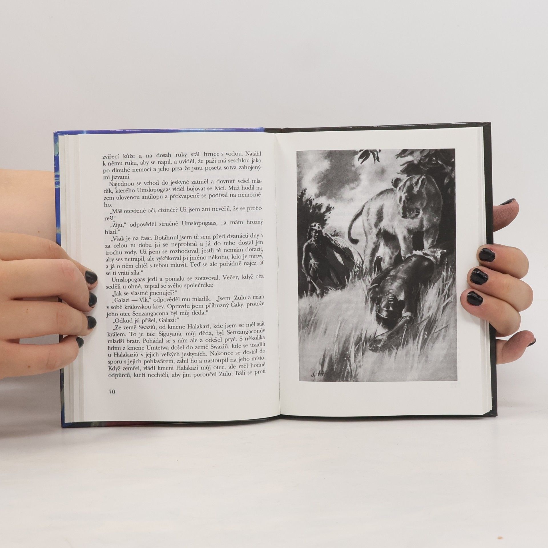 H. Rider Haggard Černá lilie