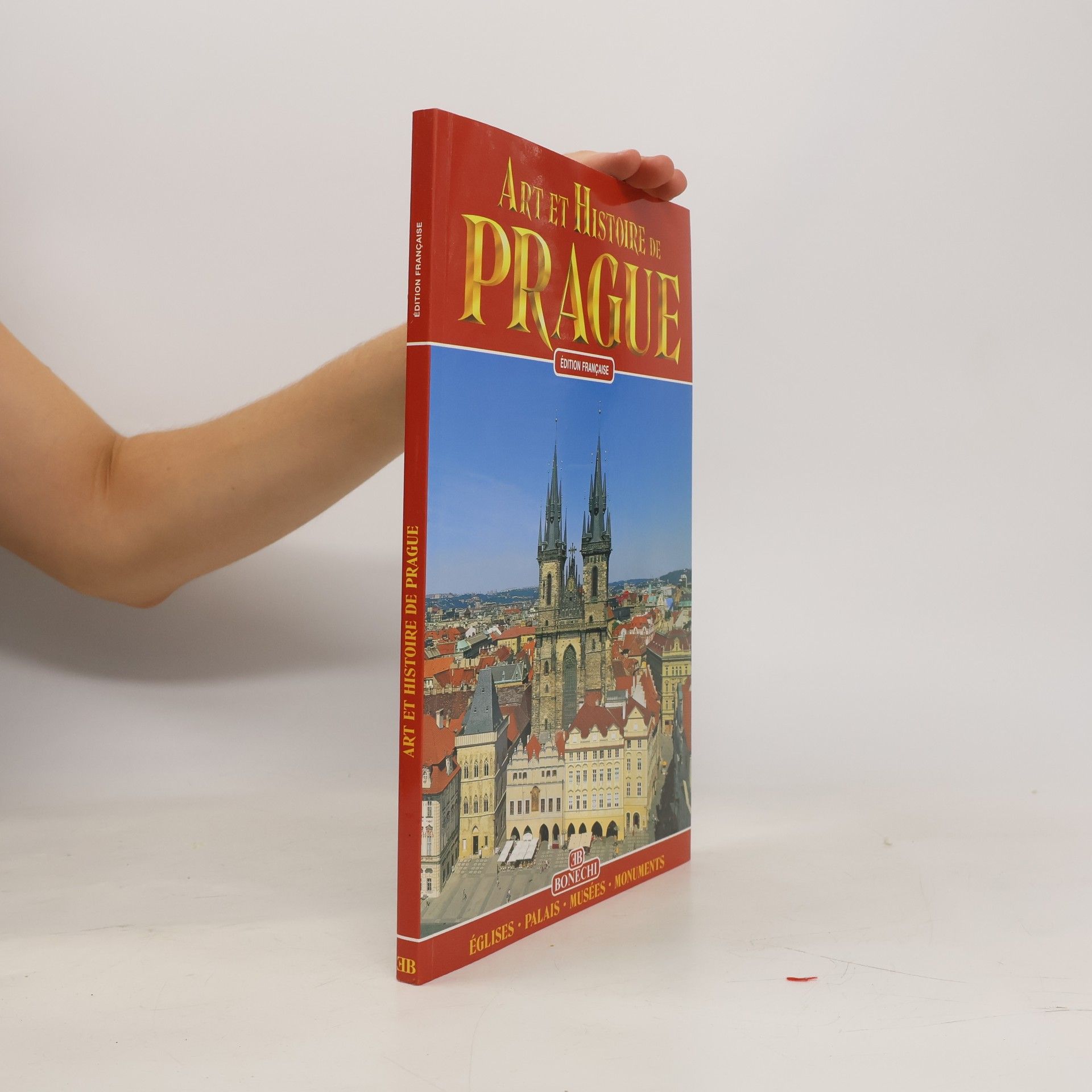 Kolektív autorov Art et Histoire de Prague
