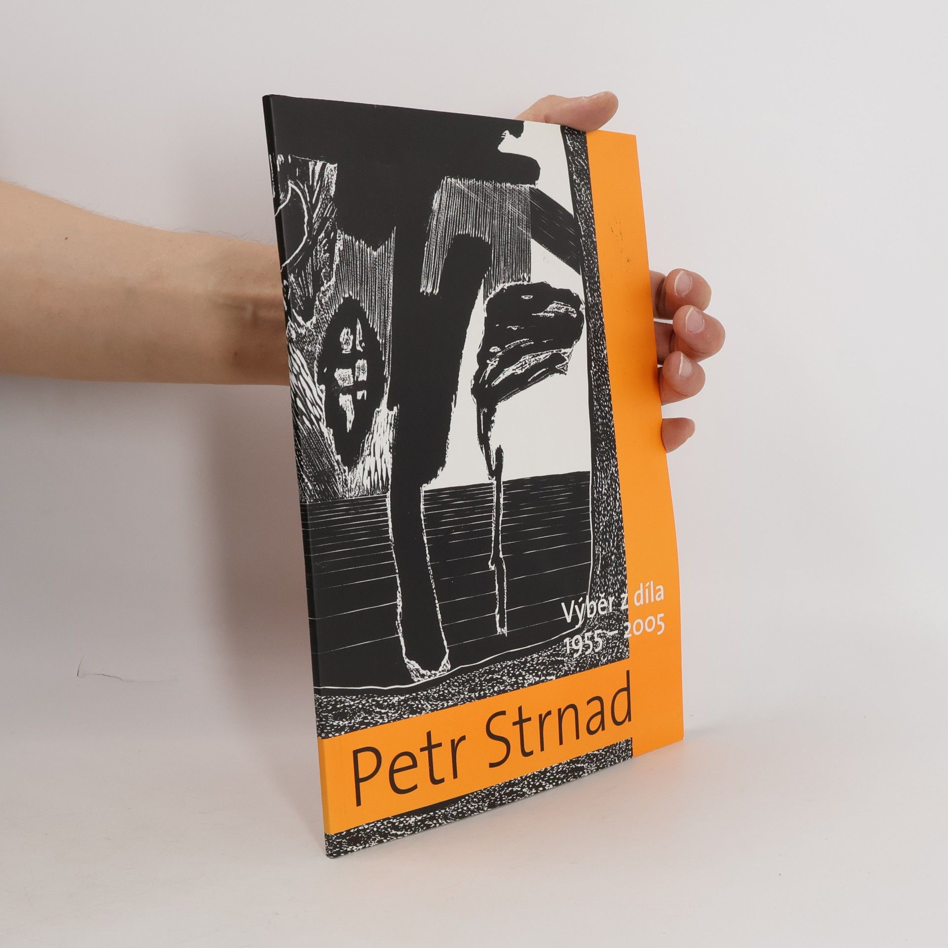 AA.VV. Petr Strnad. Výběr z díla 1955 - 2005