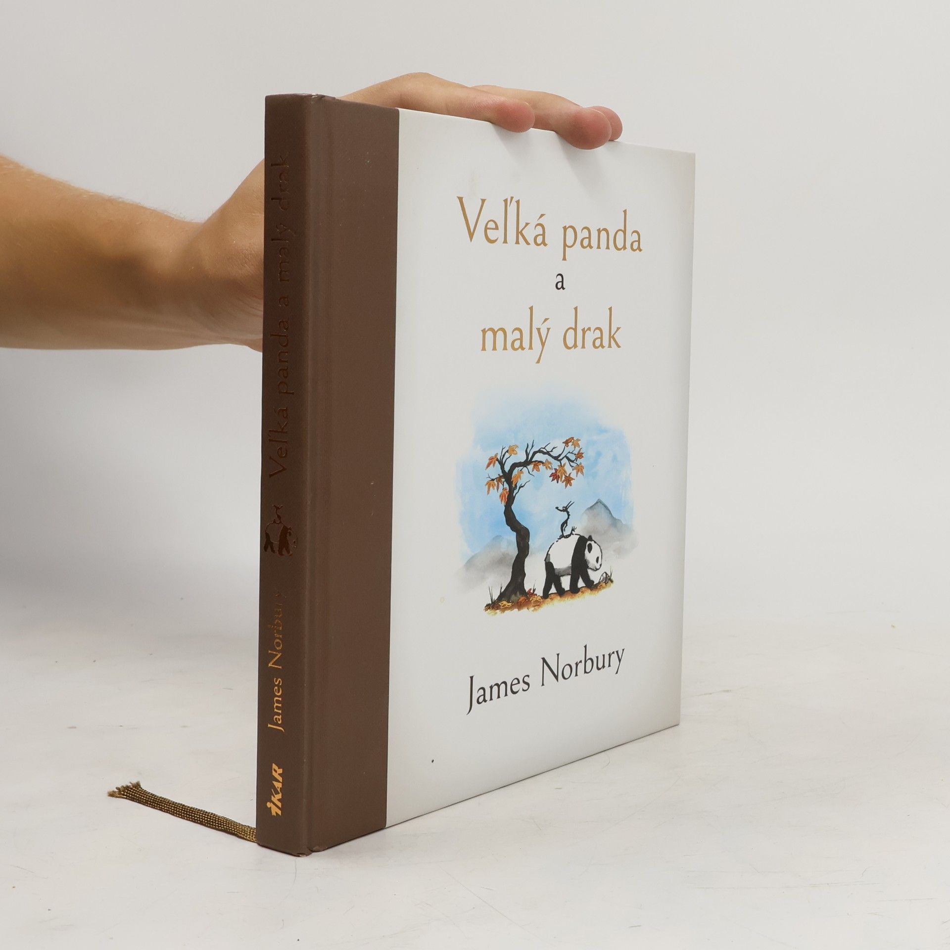 James Norbury Veľká panda a malý drak