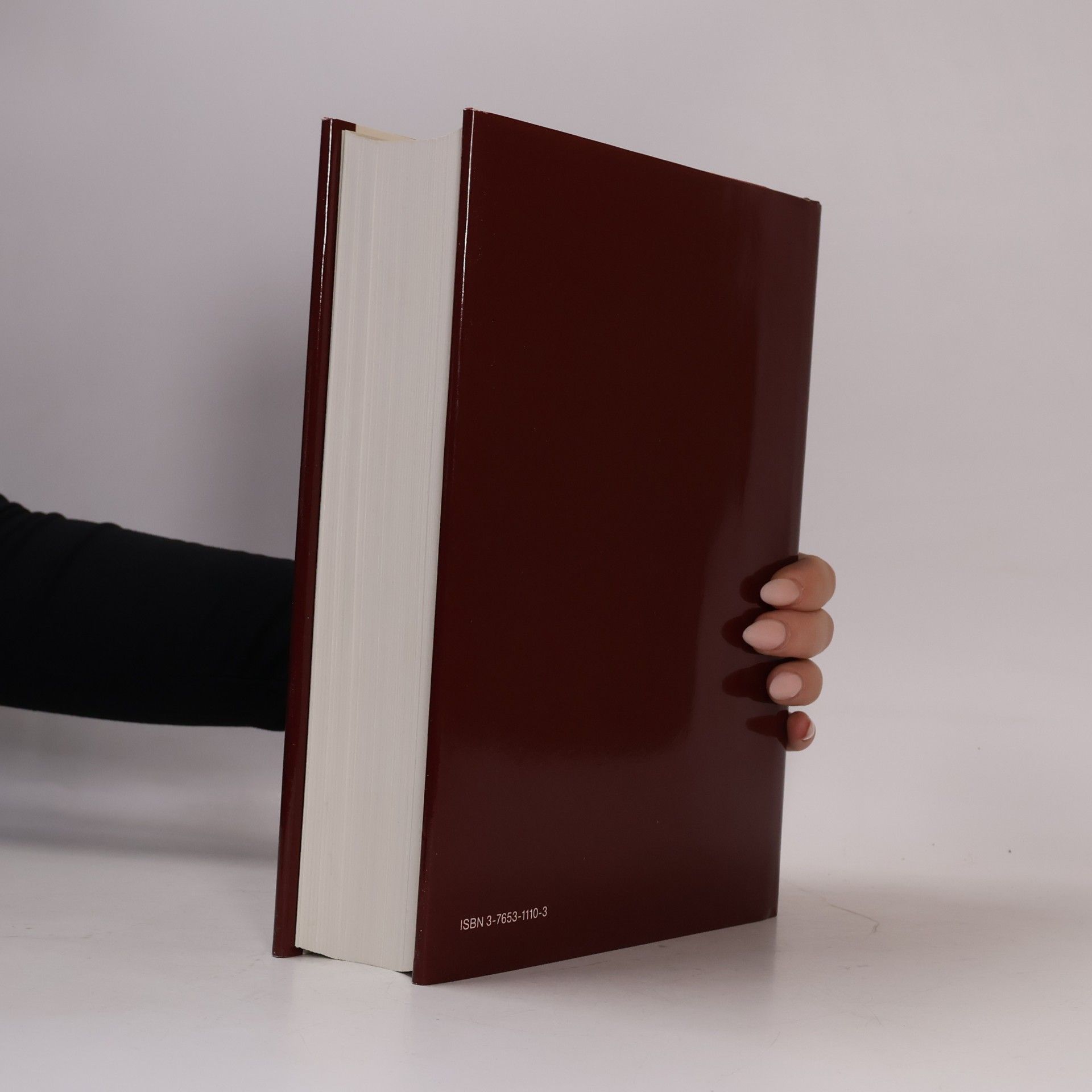 Autorenkollektiv Brockhaus Enzyklopädie 10 (HERR-IS)