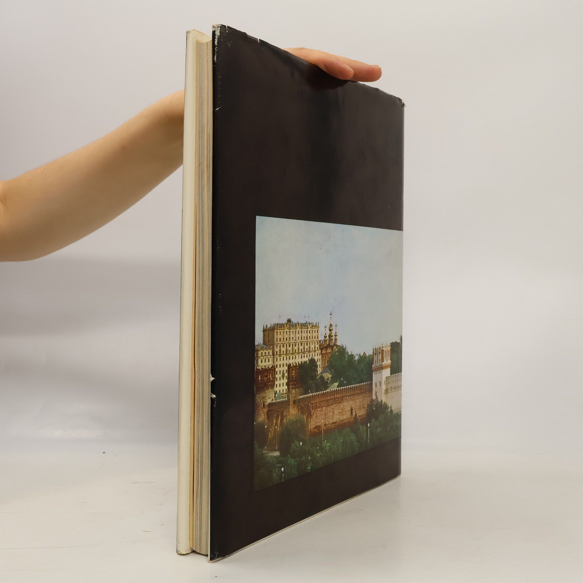 Kolektiv autorů Die Kunstschätze Moskaus