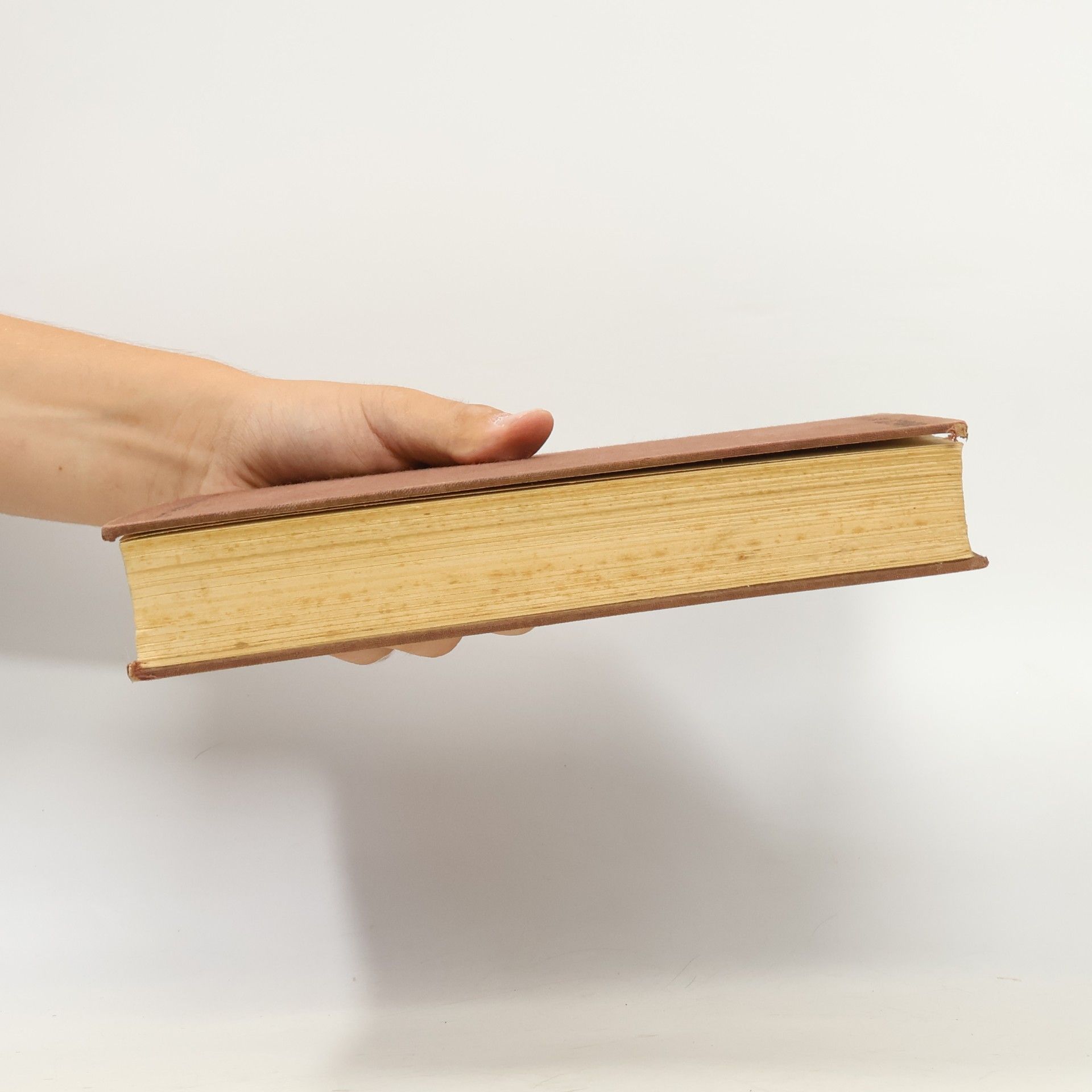 Autorenkollektiv Jedermanns Lexikon 6. Kaliban-Mensch