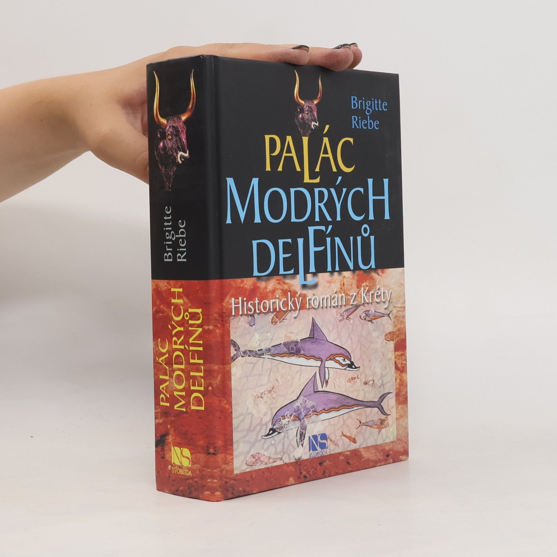 Brigitte Riebe Palác modrých delfínů
