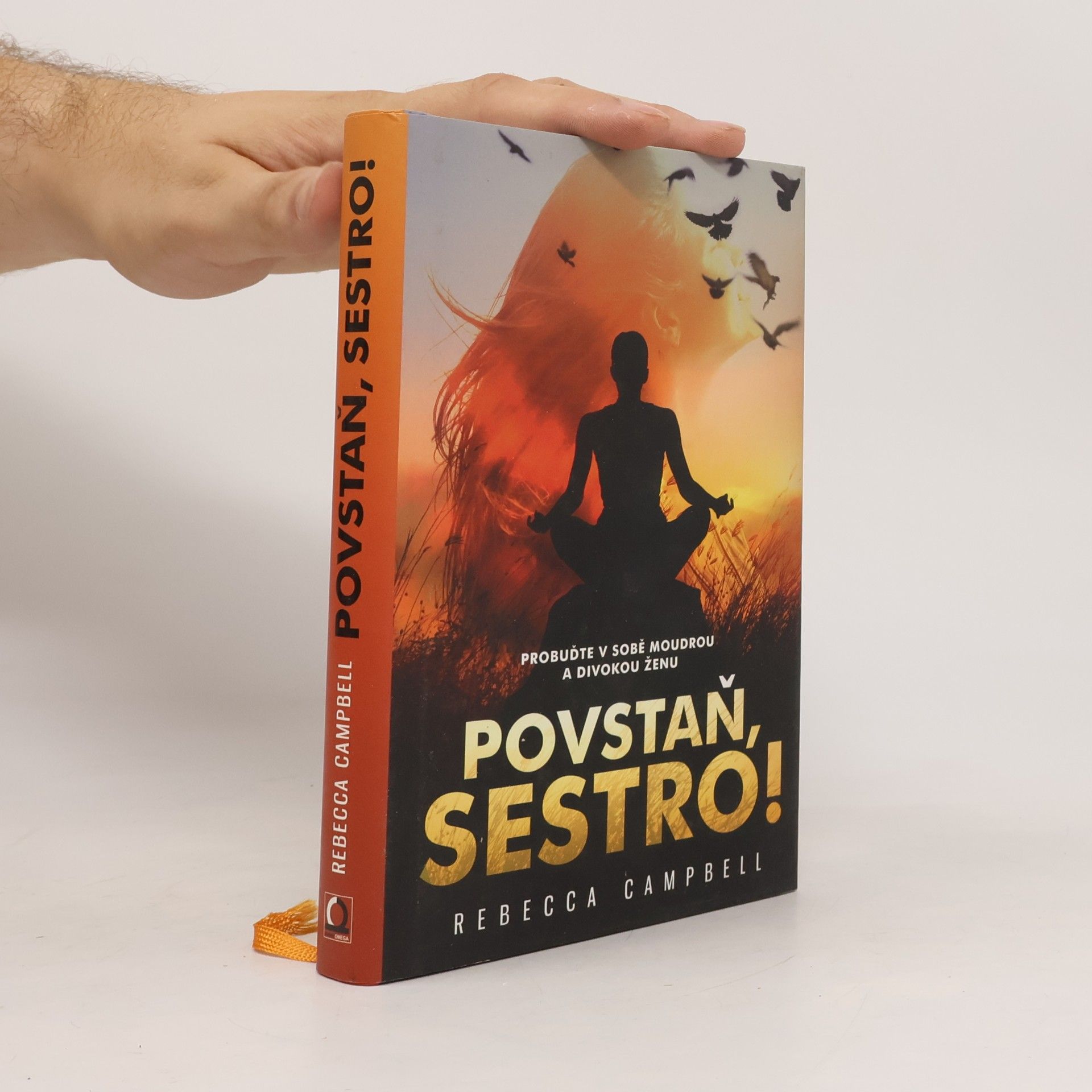 Rebecca Campbell Povstaň, sestro!