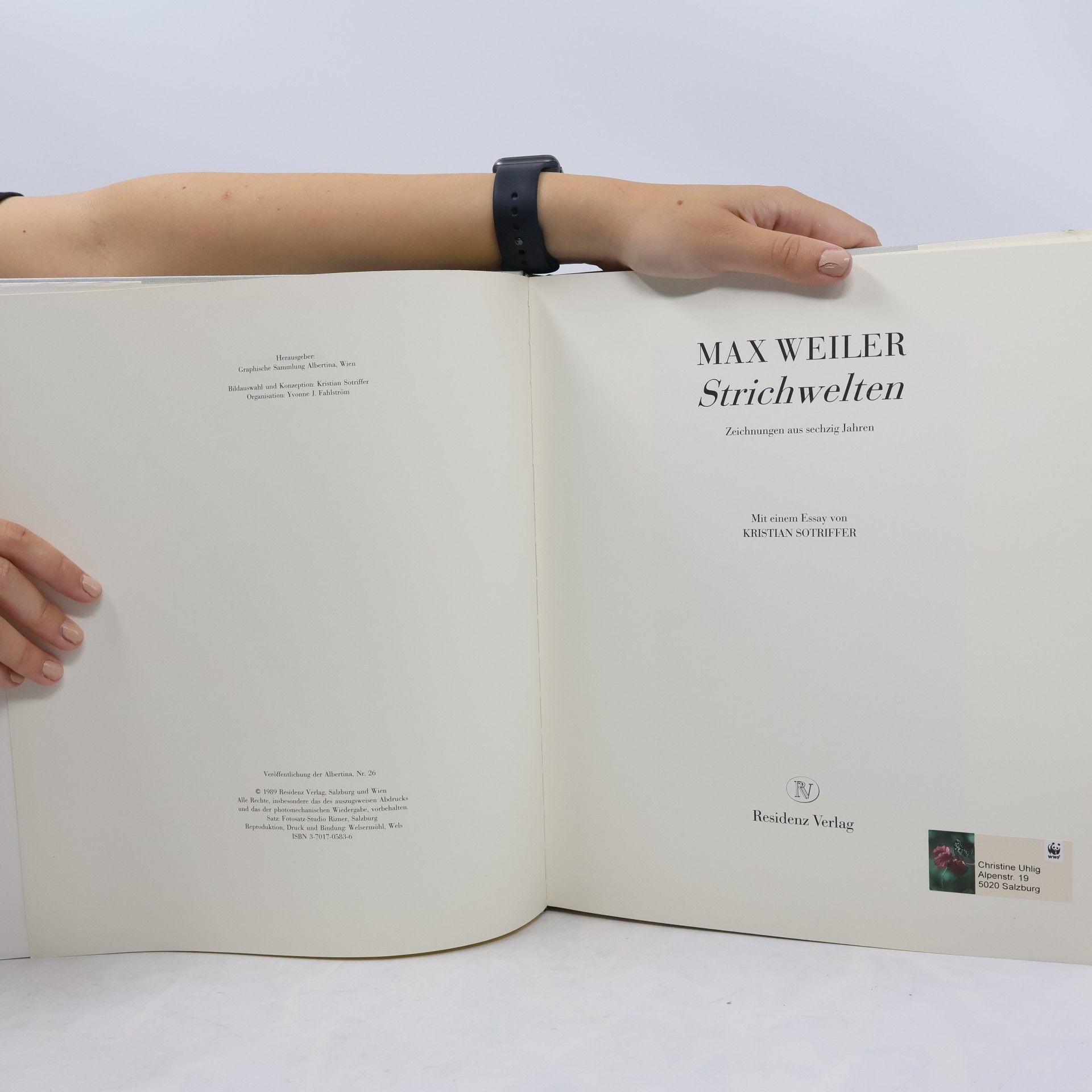 Max Weiler Strichwelten