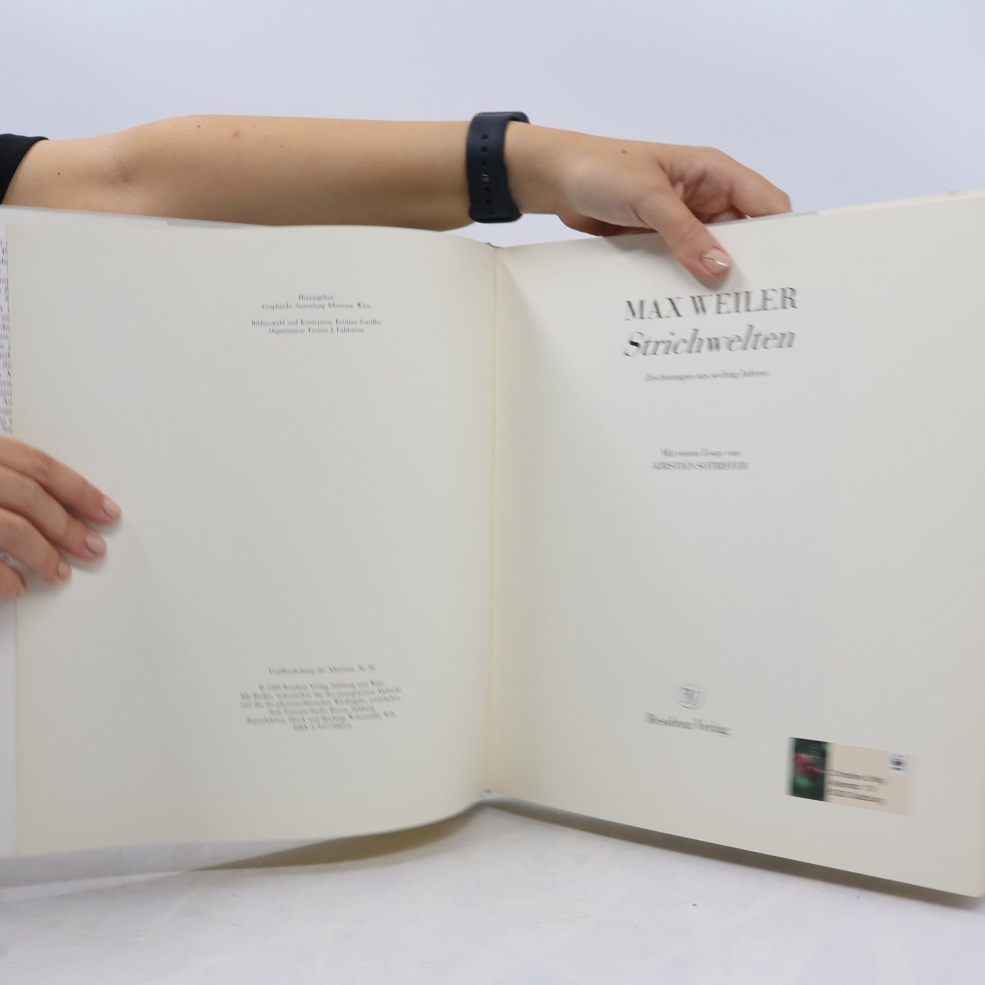 Max Weiler Strichwelten