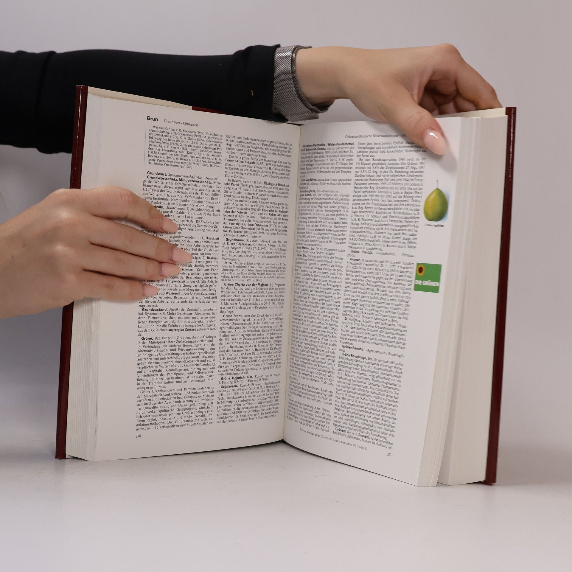 Autorenkollektiv Brockhaus Enzyklopädie 9 (GOT-HERP)