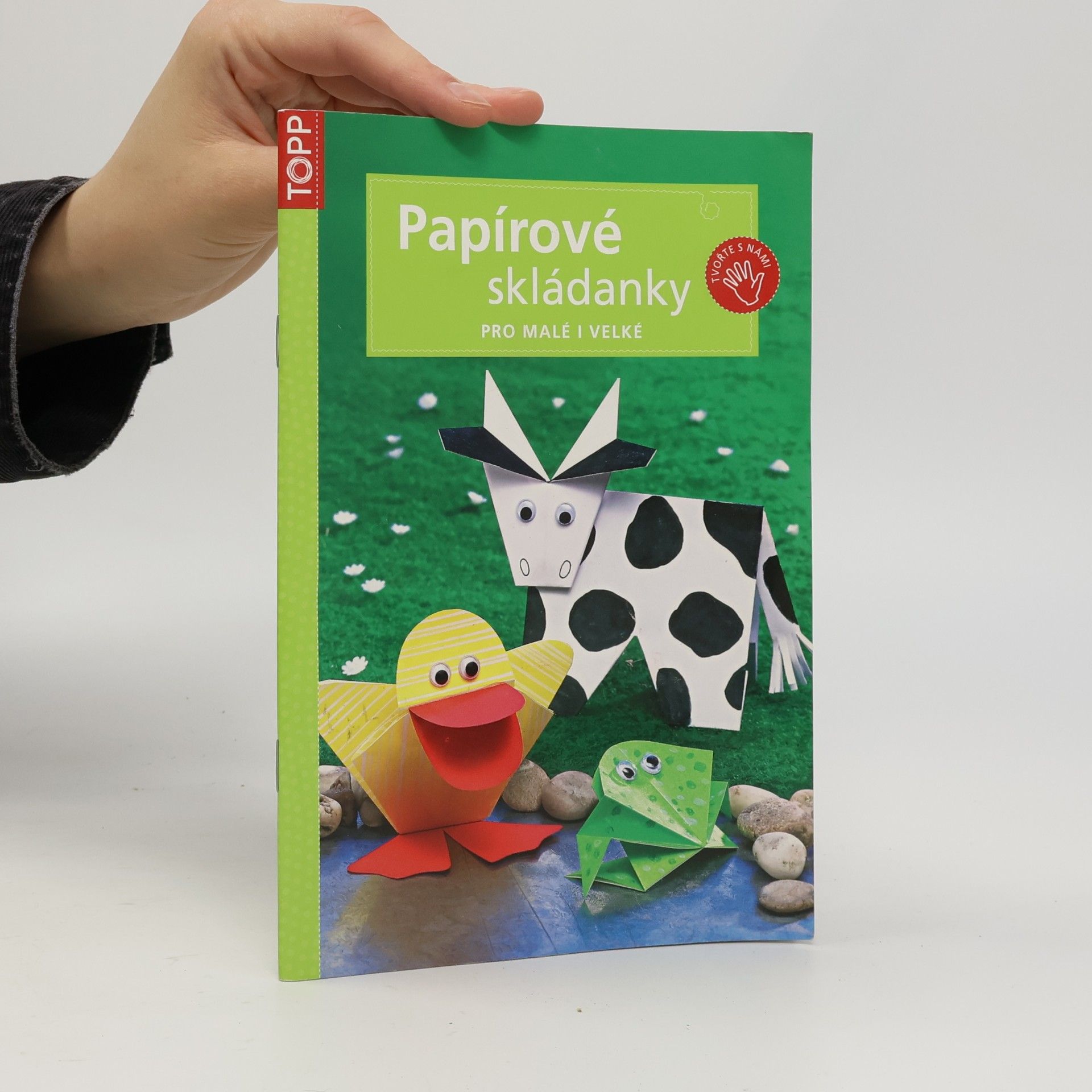 Armin Täubner Papírové skládanky pro malé i velké