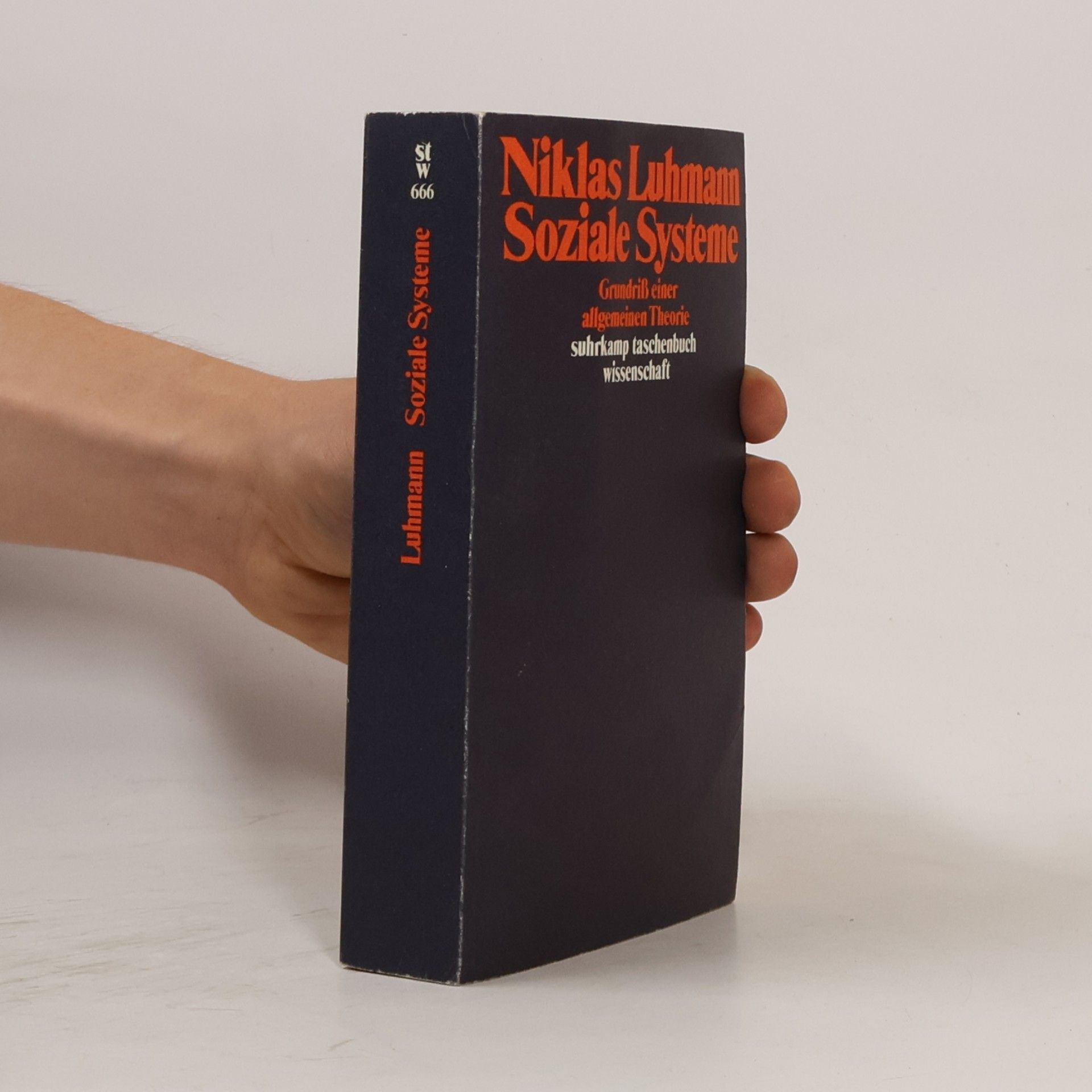 Niklas Luhmann Soziale Systeme