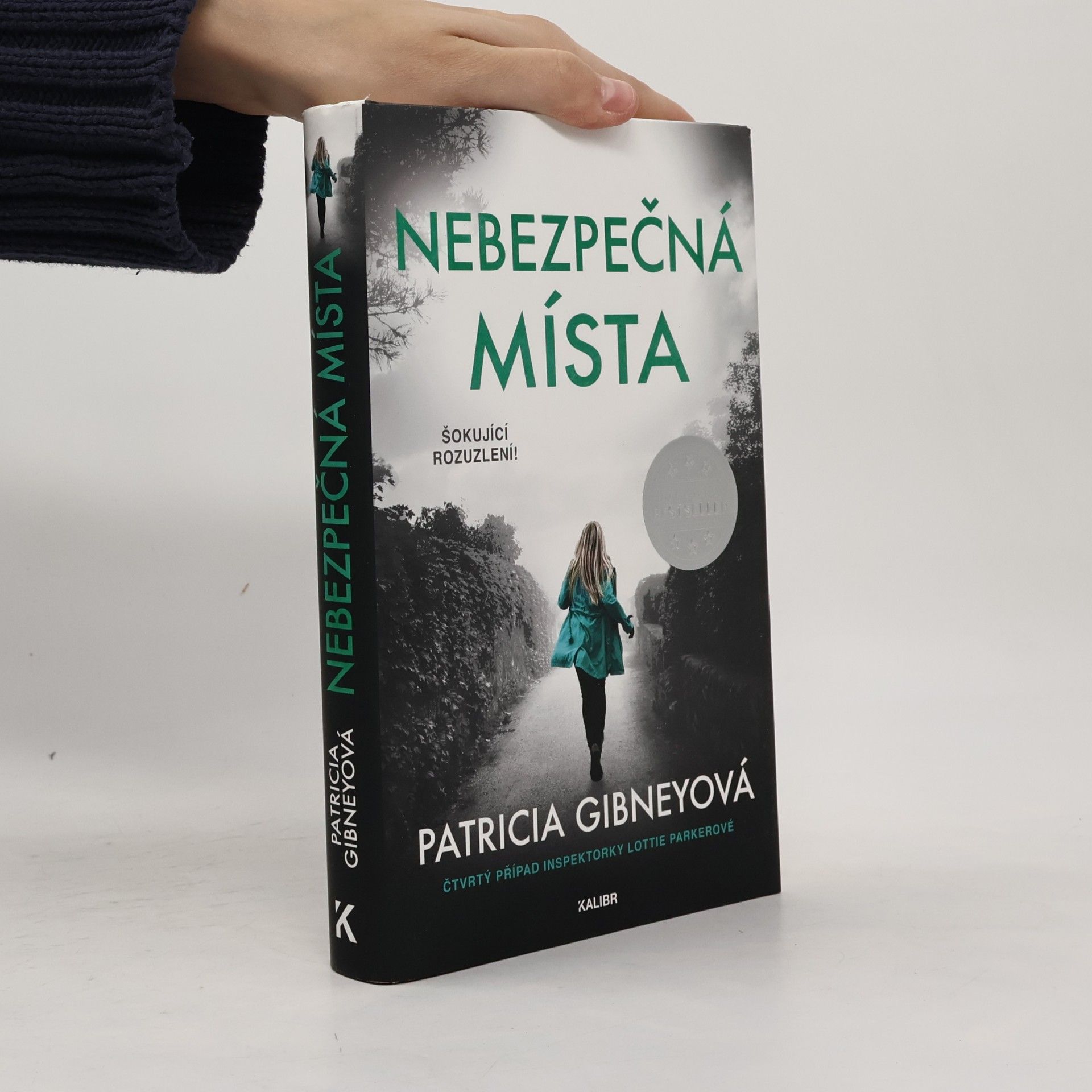 Patricia Gibney Nebezpečná místa