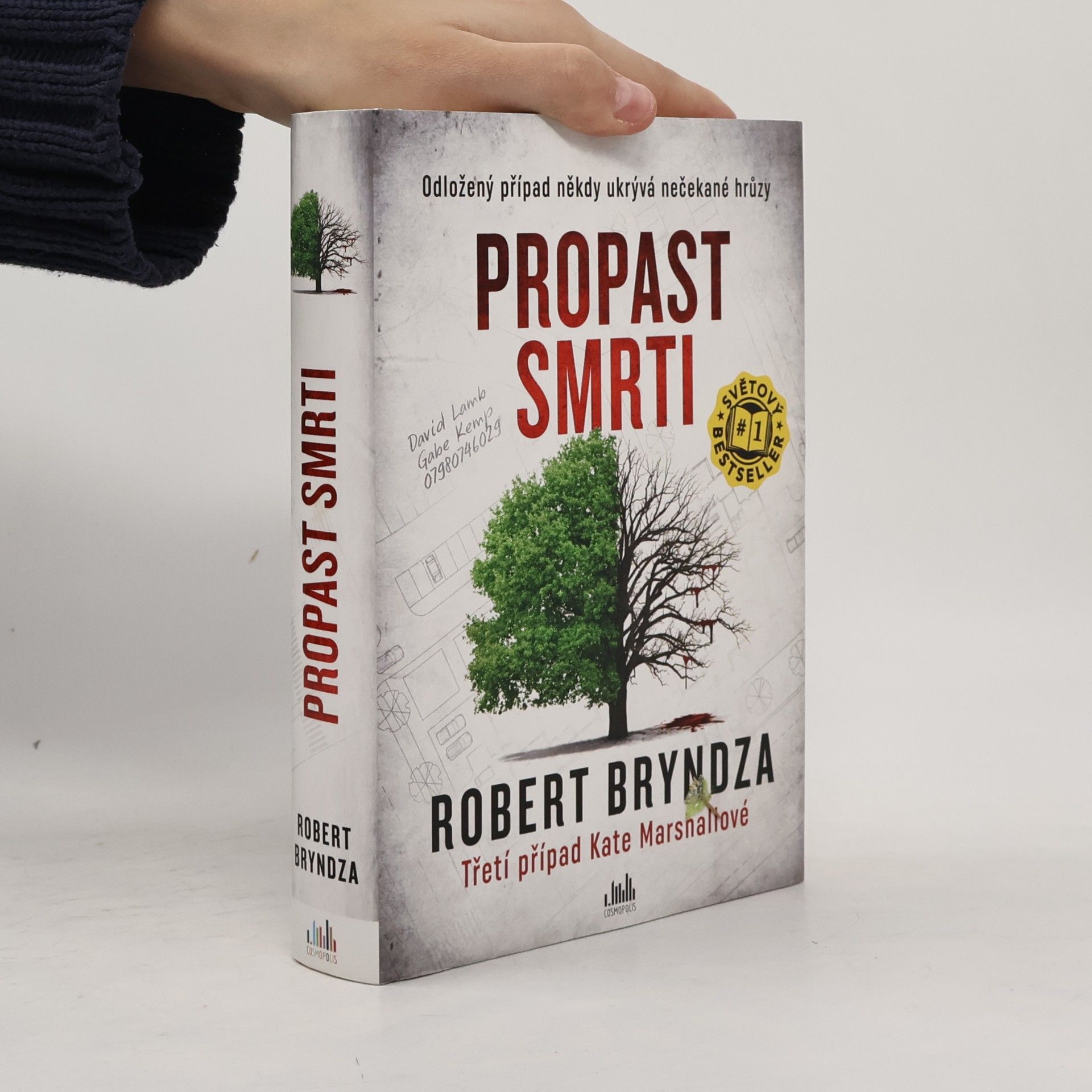 Robert Bryndza Propast smrti
