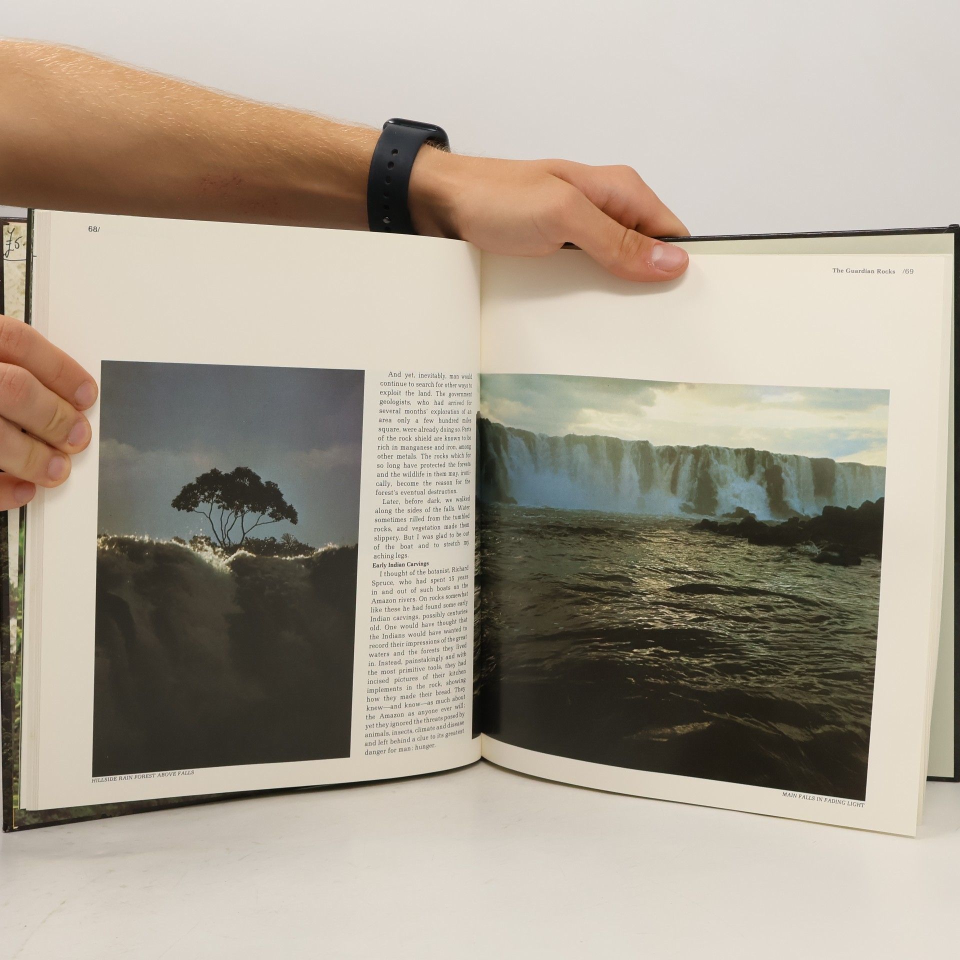 Collectif d'auteurs The Amazon