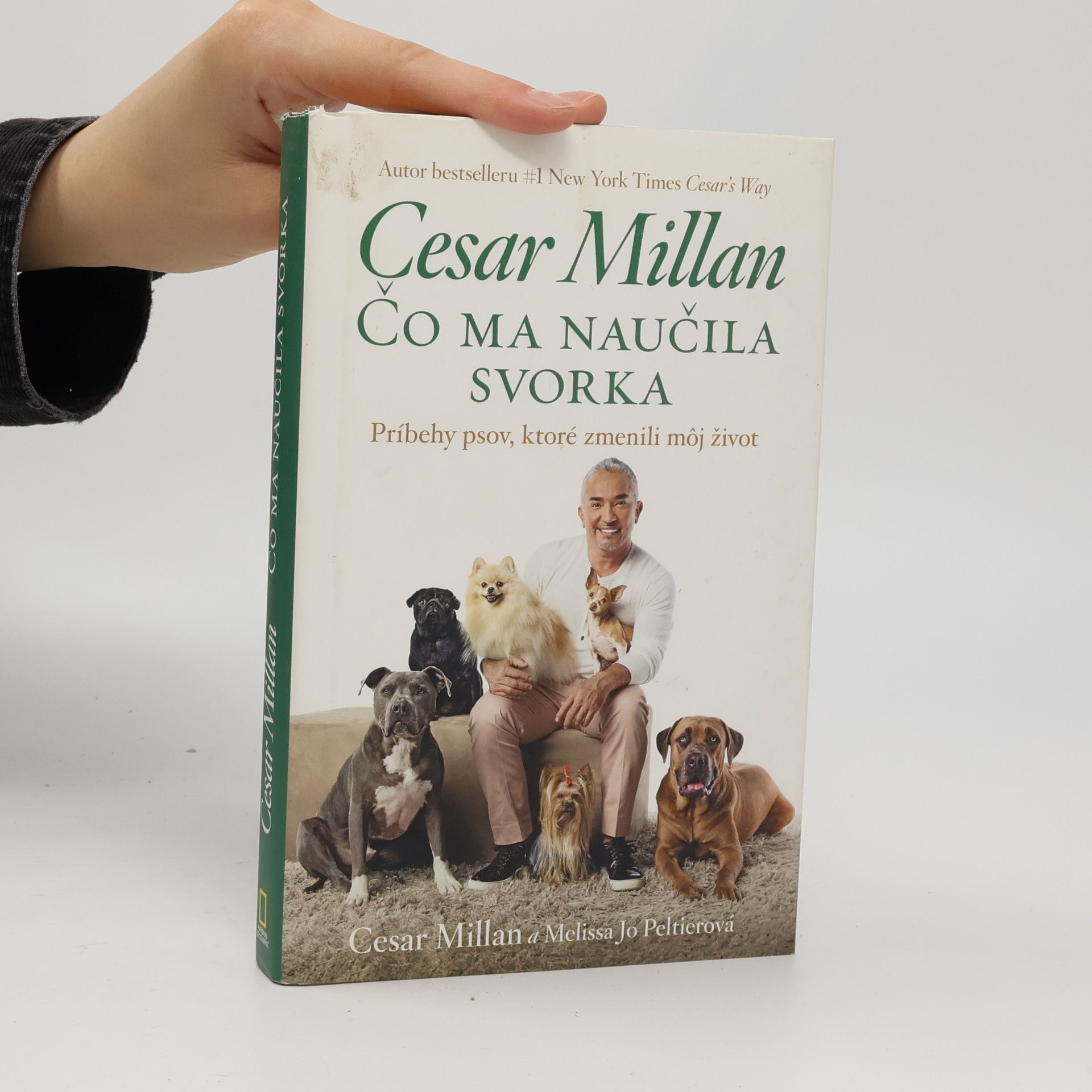 Cesar Millan Čo ma naučila svorka