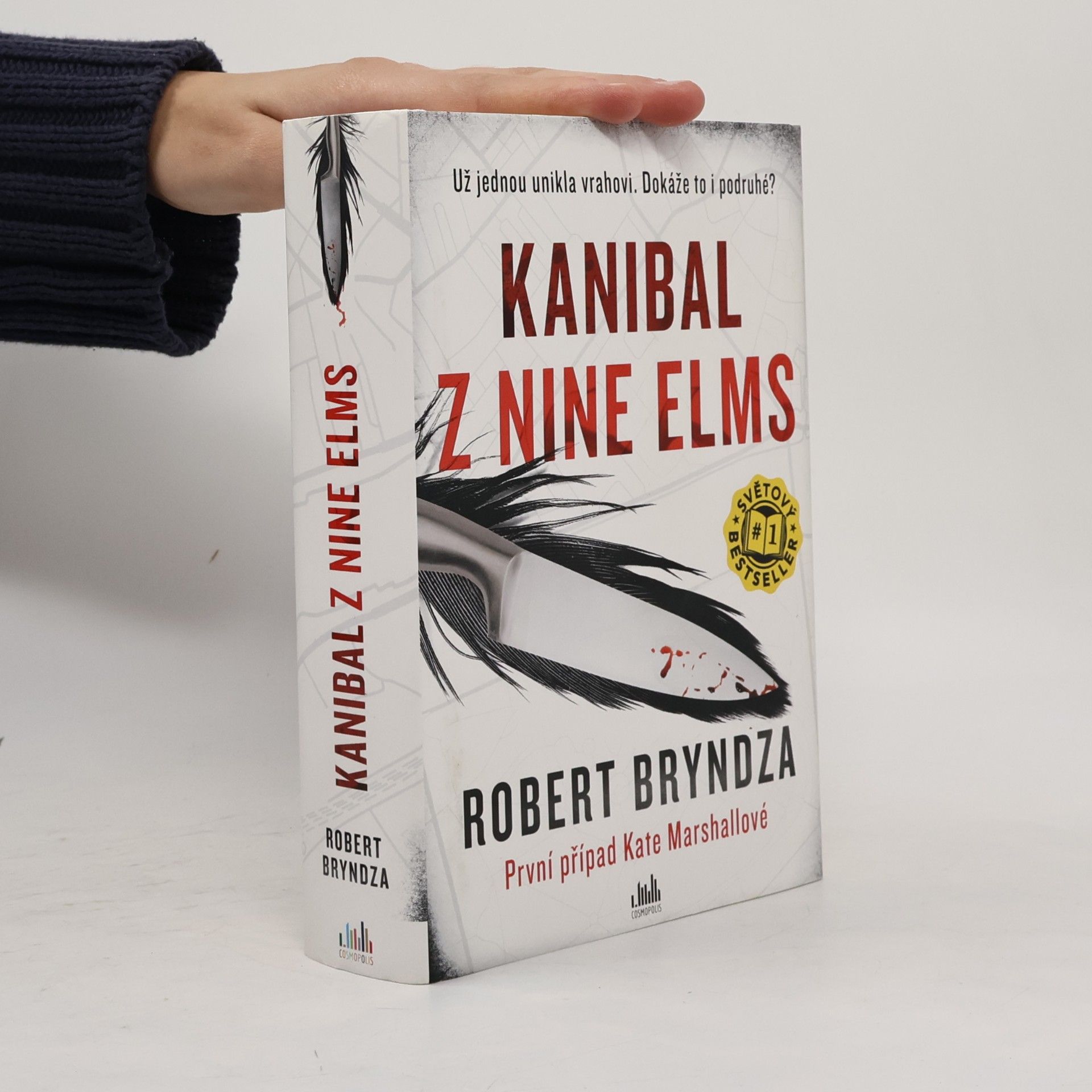 Robert Bryndza Kanibal z Nine Elms