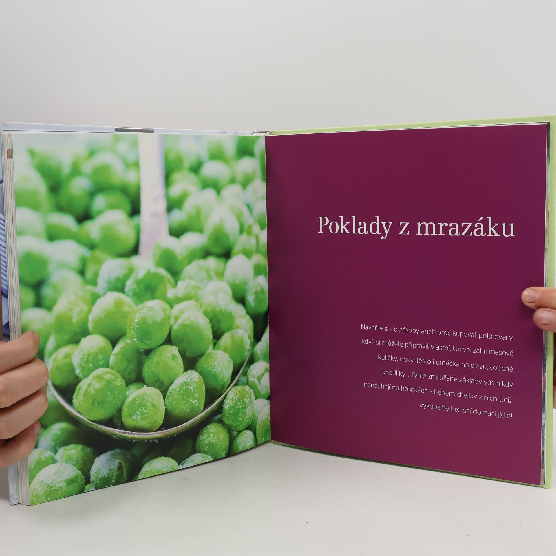 Collectif d'auteurs Rychlé obědy