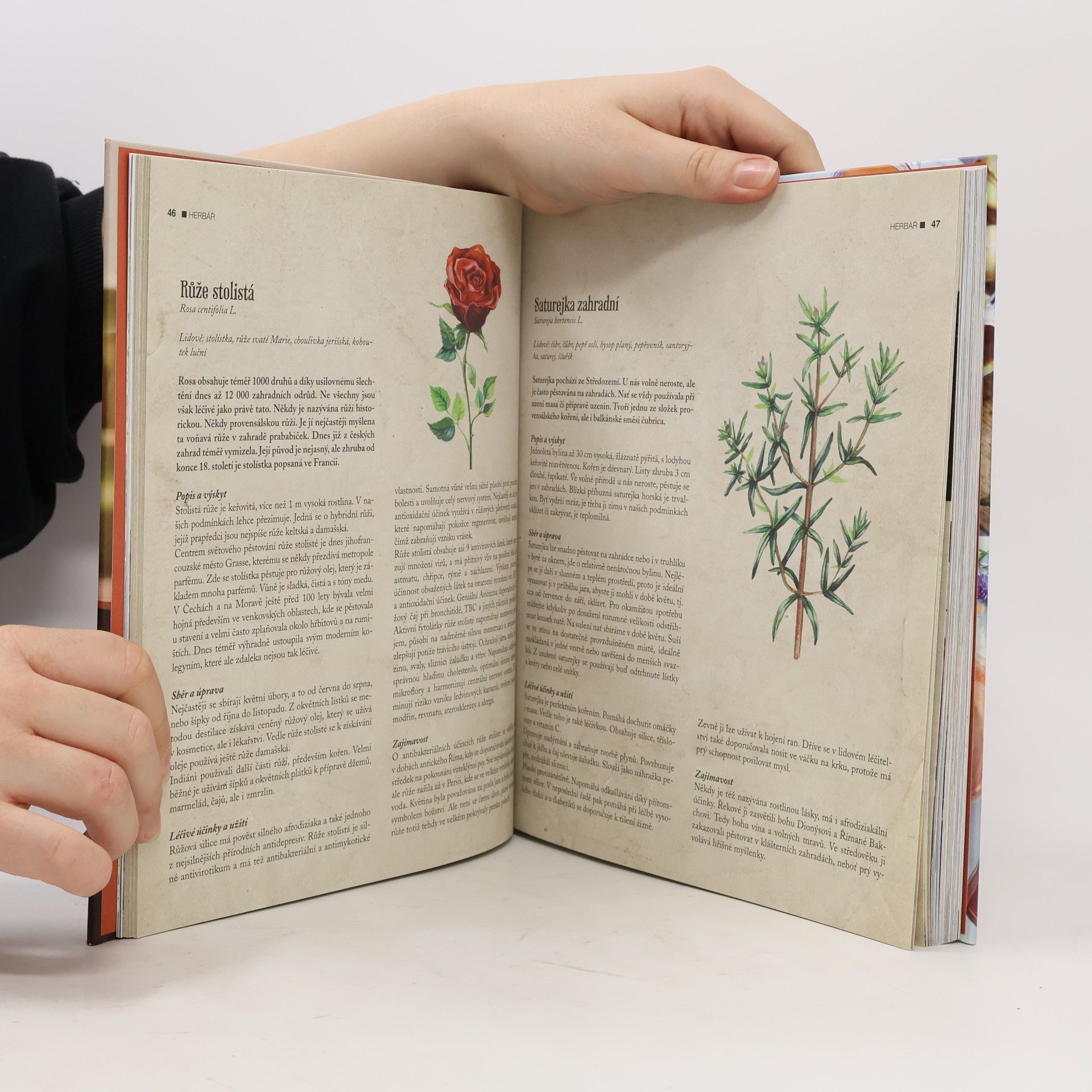 Kateřina Winterová Vaříme podle Herbáře 3