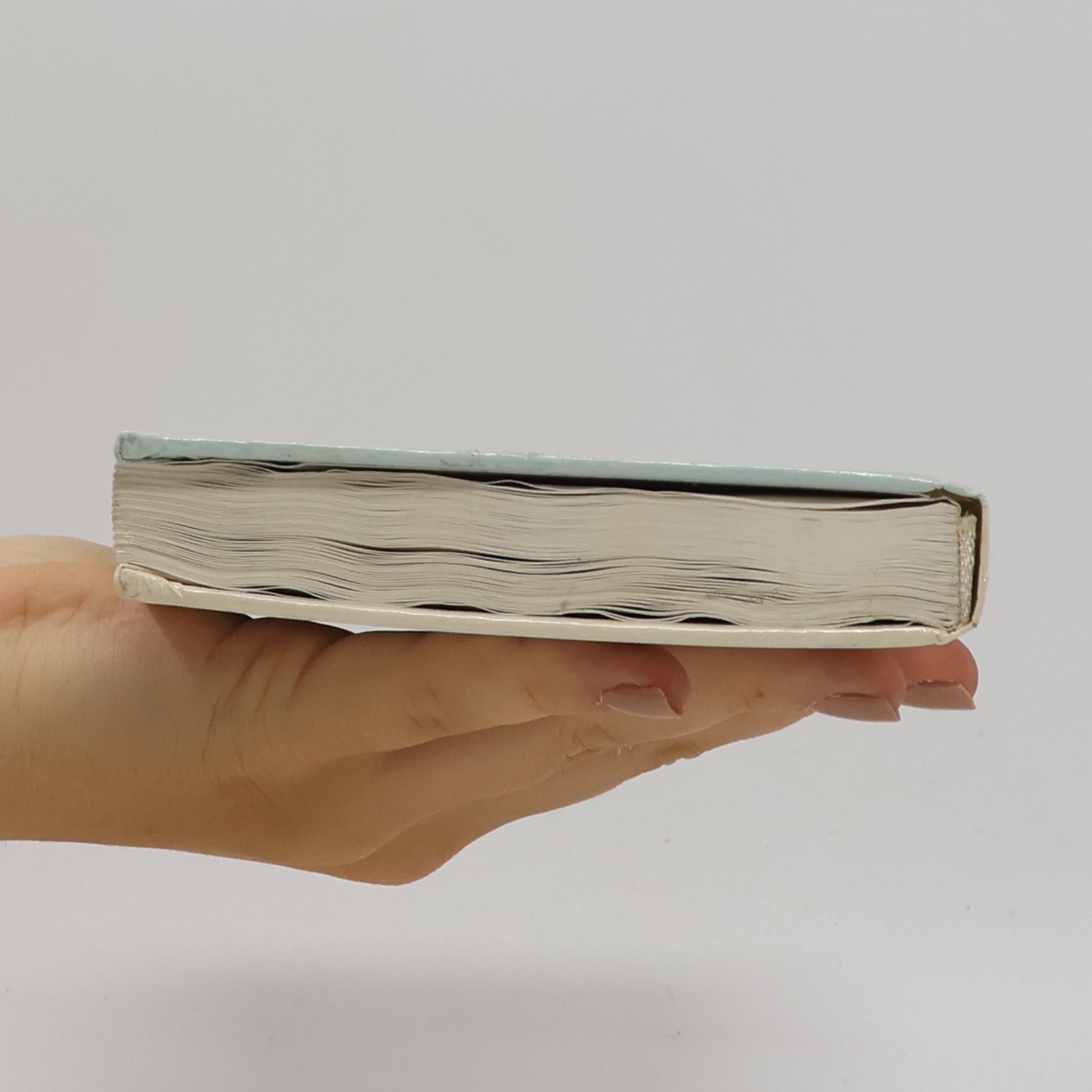 Francois Brossier Moje první obrázková bible. 2., Nový zákon