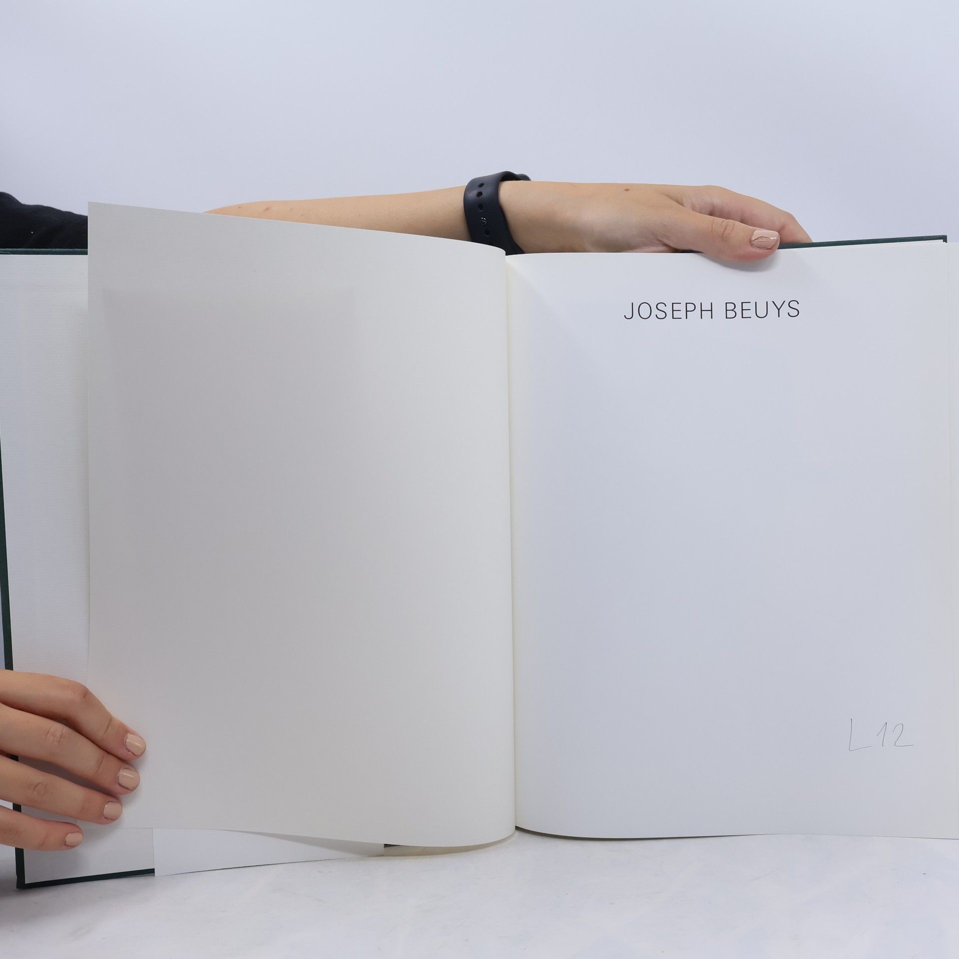 Armin Zweite Joseph Beuys
