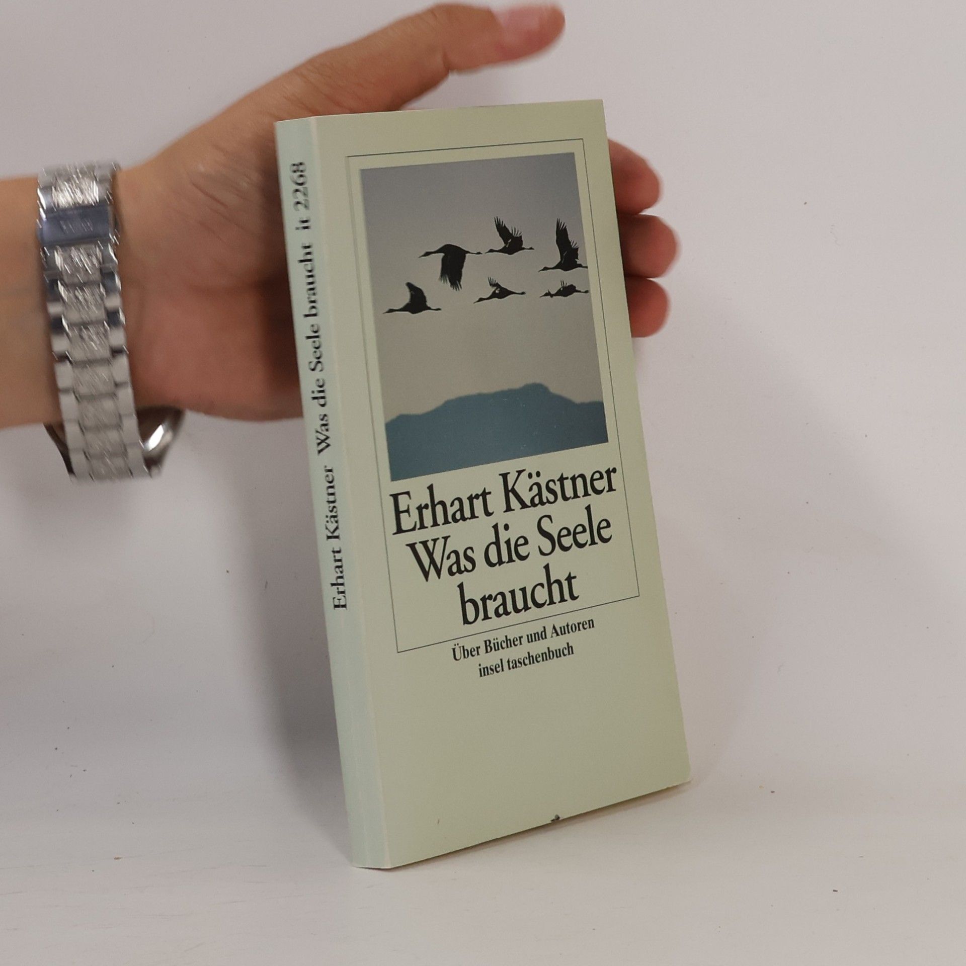 Erhart Kästner Insel Taschenbuch - 2268: Was die Seele braucht