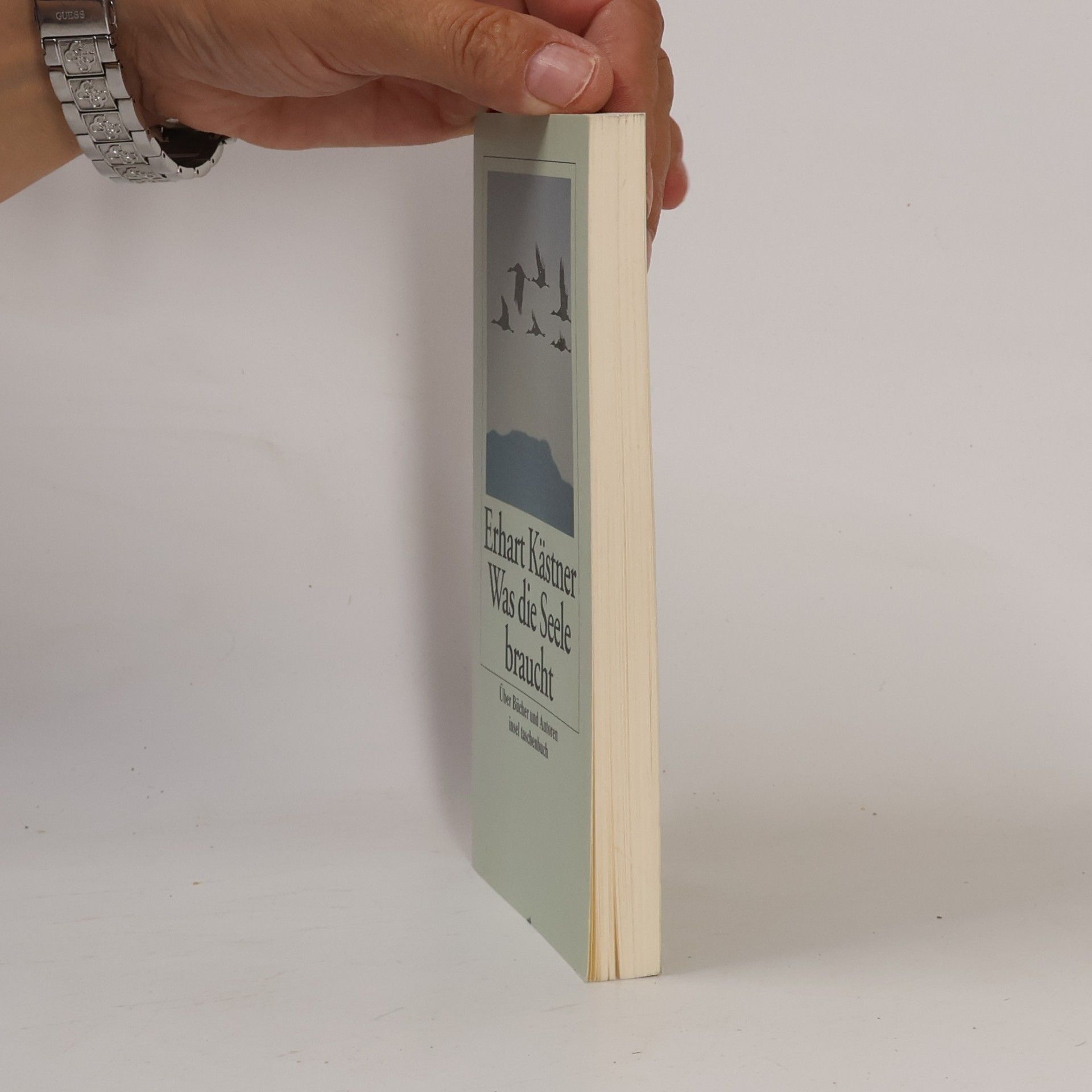 Erhart Kästner Insel Taschenbuch - 2268: Was die Seele braucht