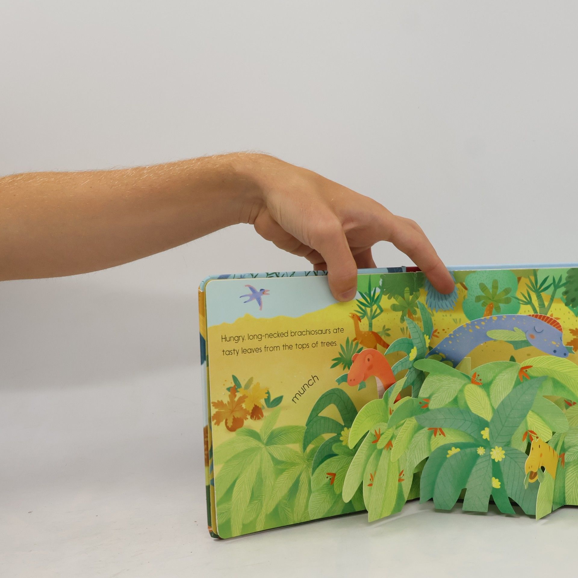 Fiona Watt Pop-Up Dinosaurs