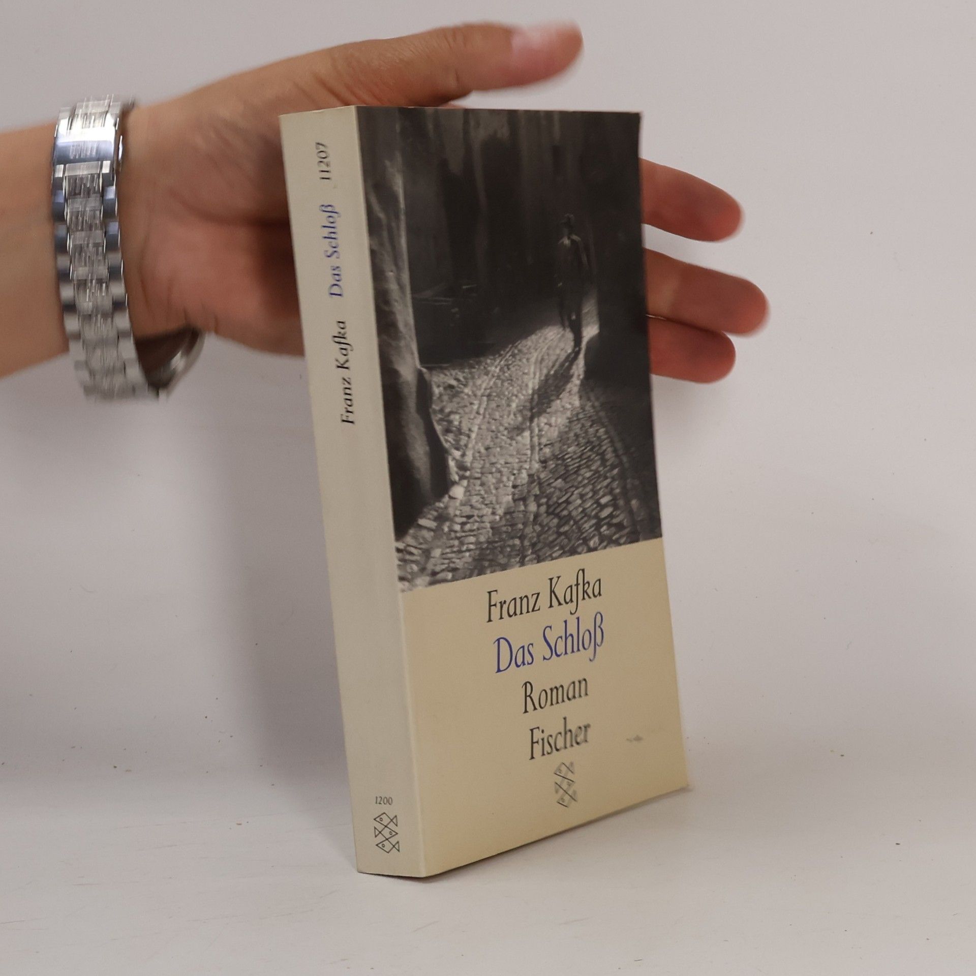 Franz Kafka Das Schloss